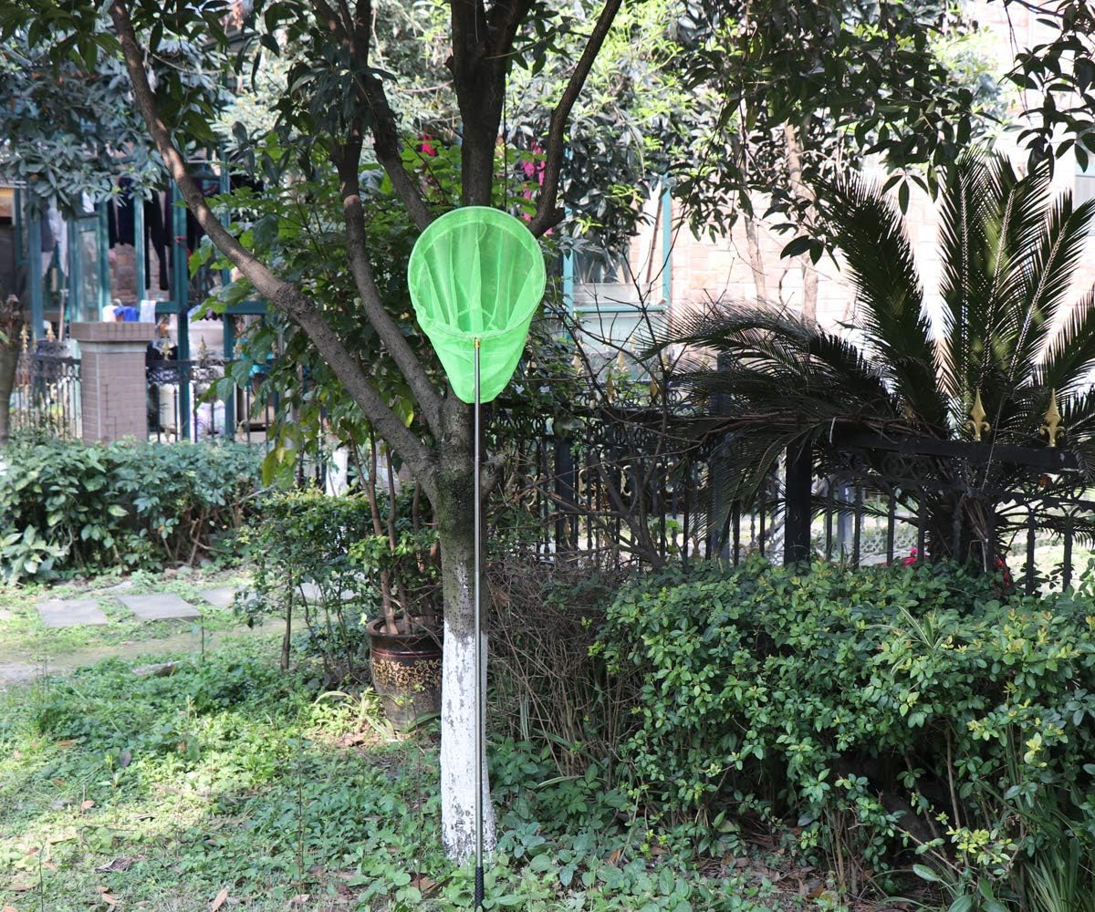 RESTCLOUD Bait Net and Fishing Landing Net with Telescoping Pole Handle Extends to 59 inches (Green) : Sports & Outdoors