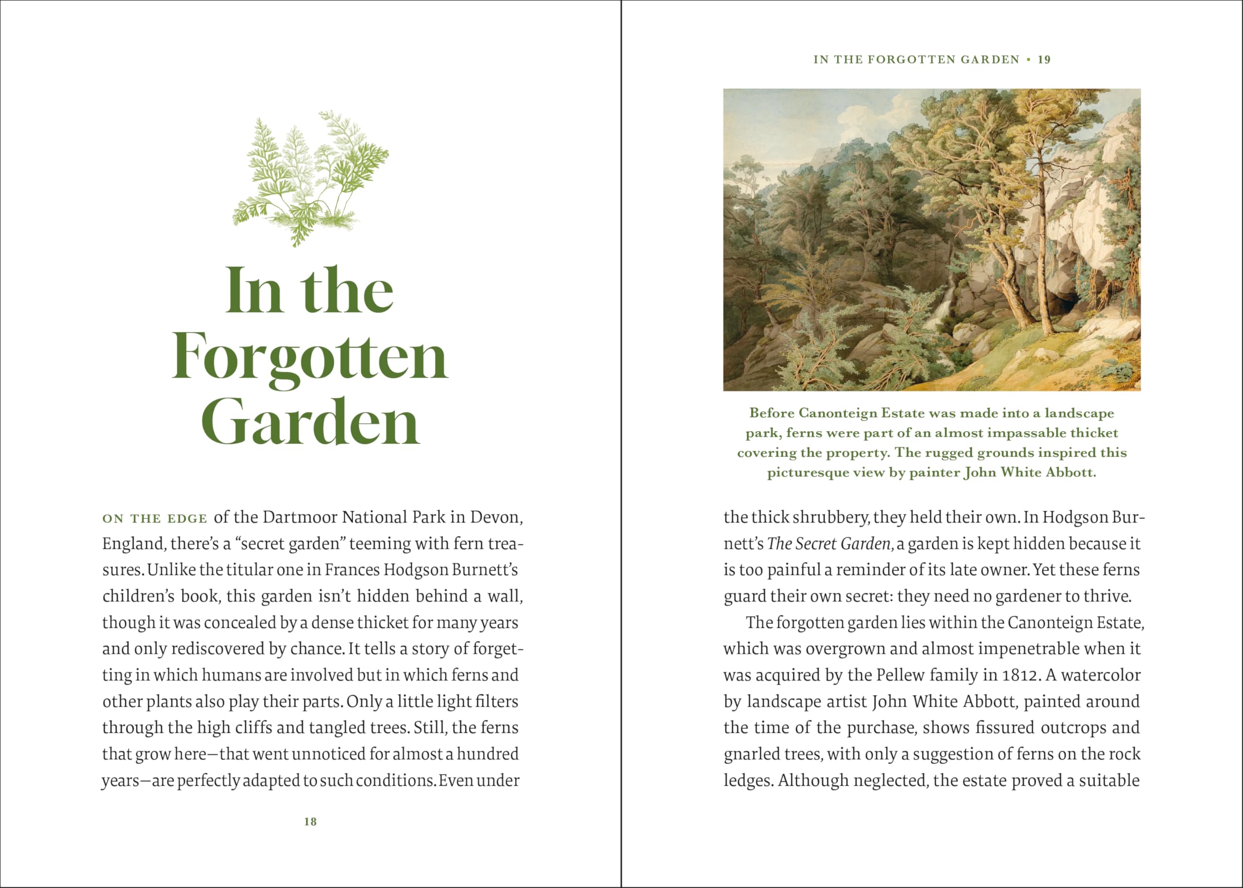 The Elegance of Ferns: Portrait of a Botanical Marvel (Marvels of Nature, 3)