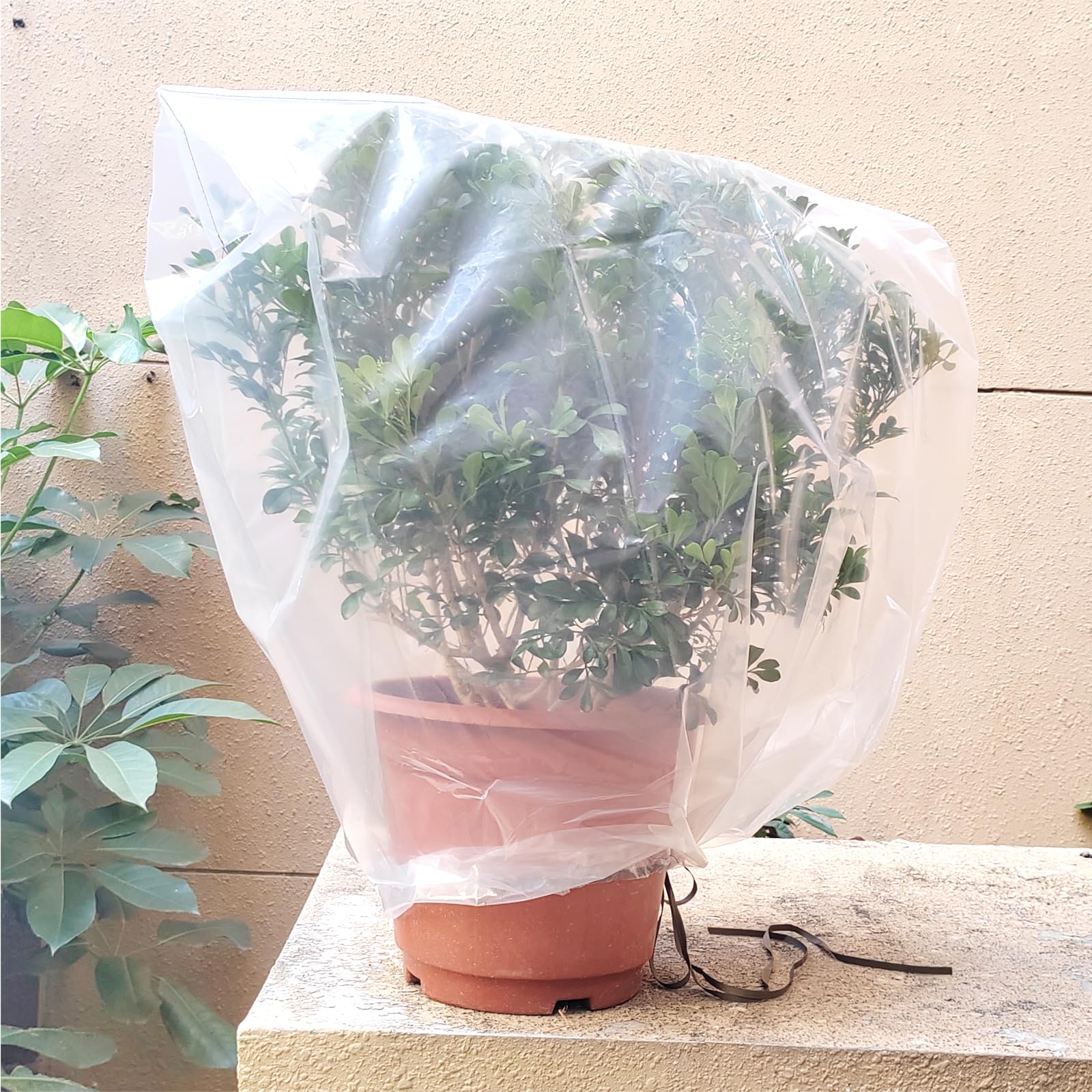Las Mejores Ofertas En Protección Contra Las Heladas Ra Las Plantas | EBay