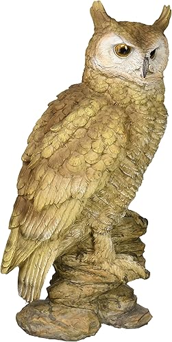 Design Toscano Estatua de búho del bosque, multicolor