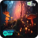 マッシュルーム・ナイト・ヘイブン - 森のフルートとキノコで夜のひとときを