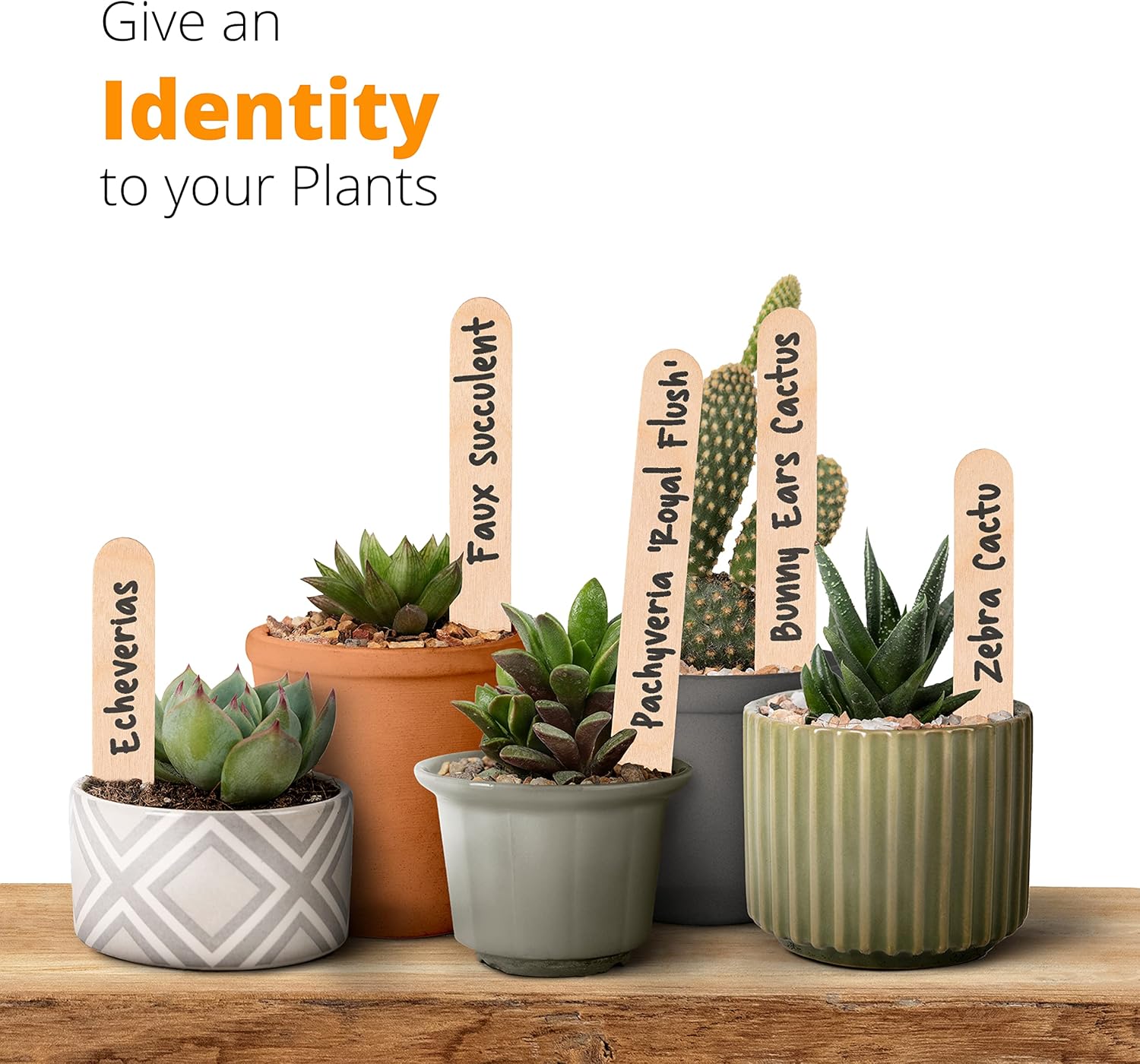 Zeenom 100 Popsicle Sticks for Crafts Wooden Craft Sticks - 6 Inch Wood Sticks Multipurpose Popsicle Sticks for Food, Ice Cream Sticks and Popsicle Sticks for Waxing, Plant Labels, DIY Arts & Crafts : Arts, Crafts & Sewing