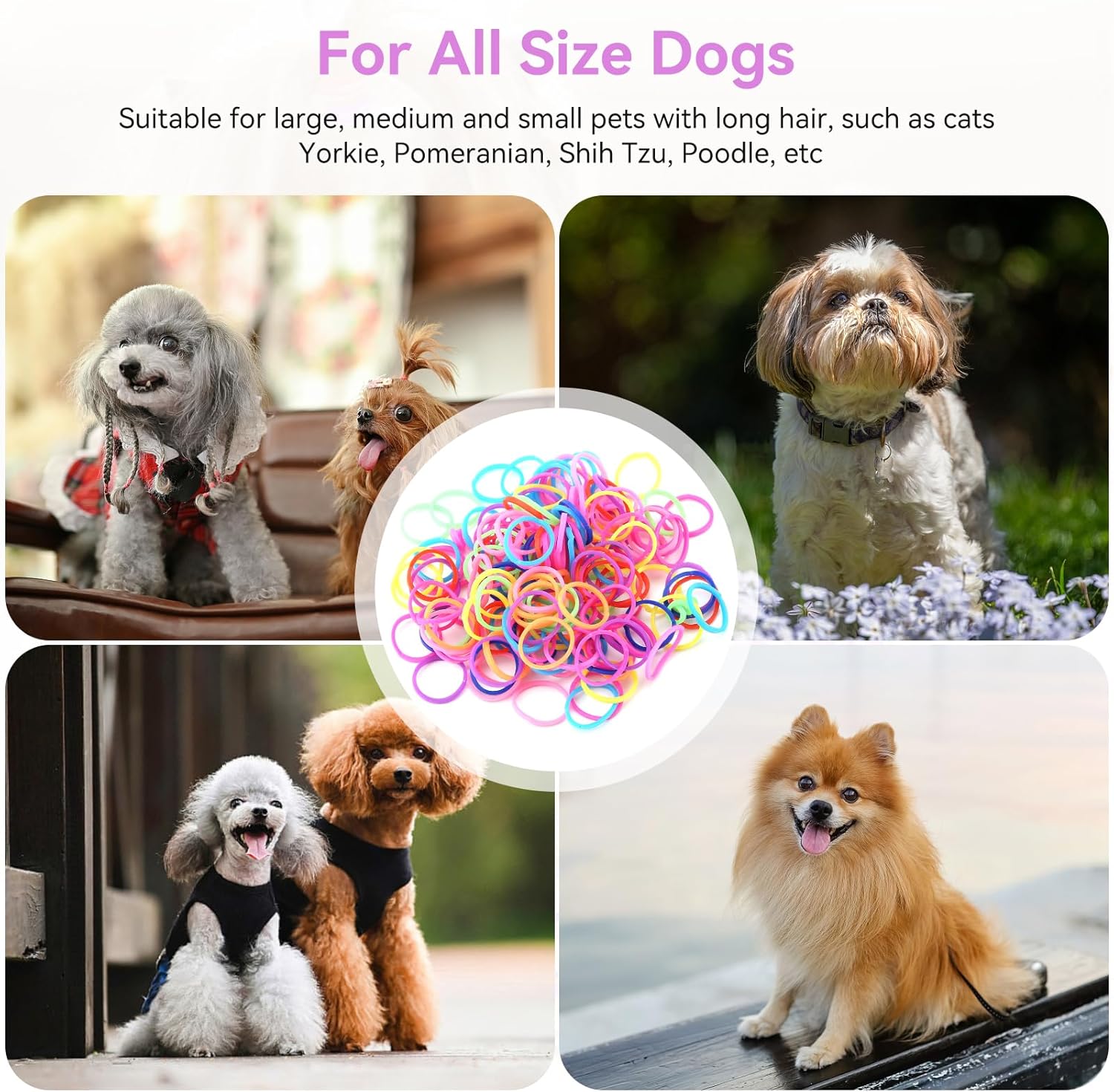 Cyrank 10 Packs of Elastic Bands for Dogs, Hair Ties for Dogs, Wool Bands for Dogs with Mini DIY Elastic Bands, Colourful Beauty Accessories for Dogs 4