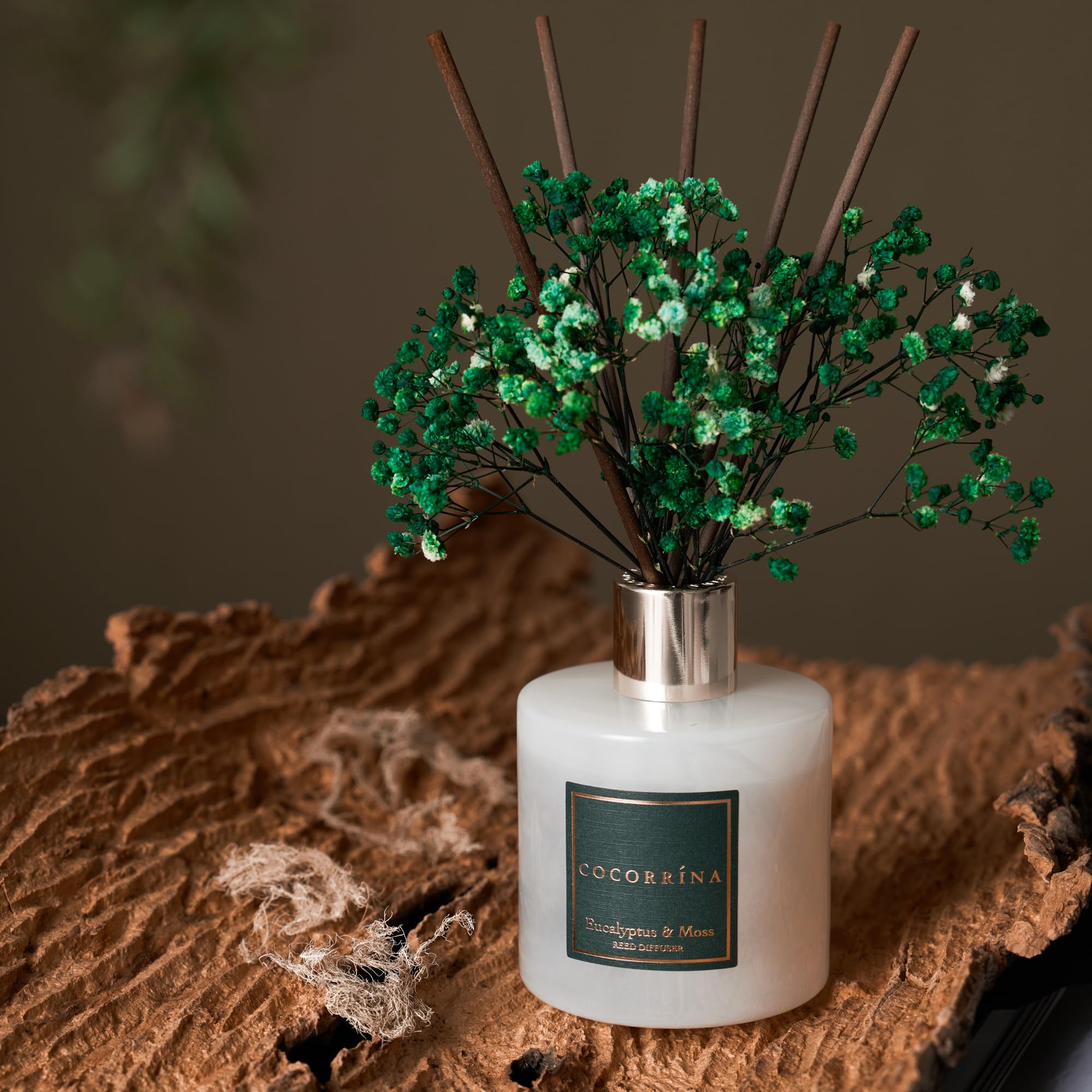 Cocorrína Diffuseur Parfum Maison, Eucalyptus et Mousse 200ml avec Diffuseur Bâtonnets diffuseur de Parfum, Batonnets Diffuseur Parfum, Reed Diffuseur pour Salle de Bain étagère décoration