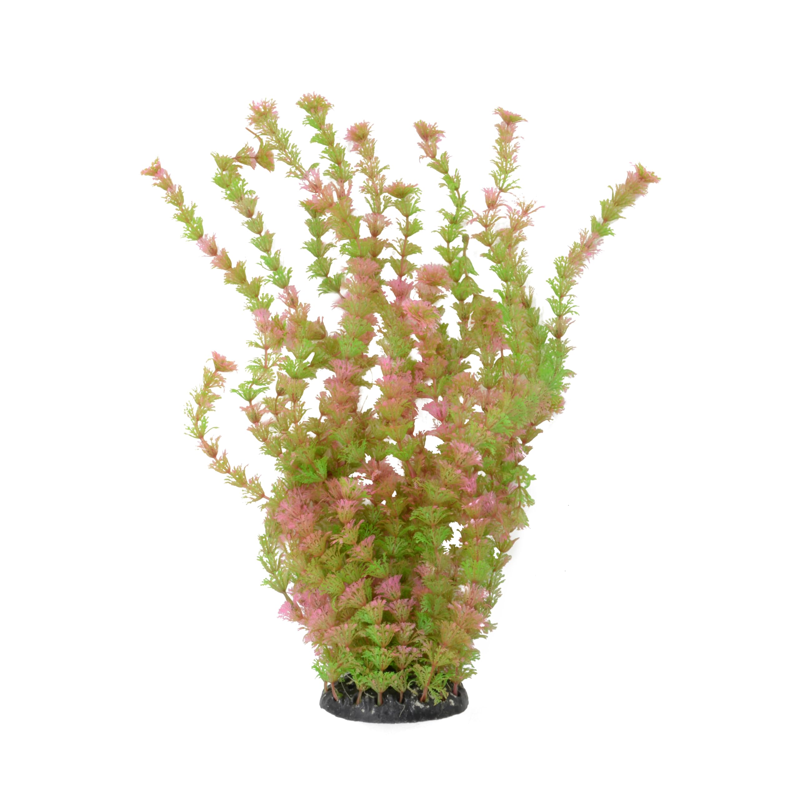 CNZ Aquarium Plastic Plant Decoration w Ceramic Base Large 18-inch, Green Beauty
