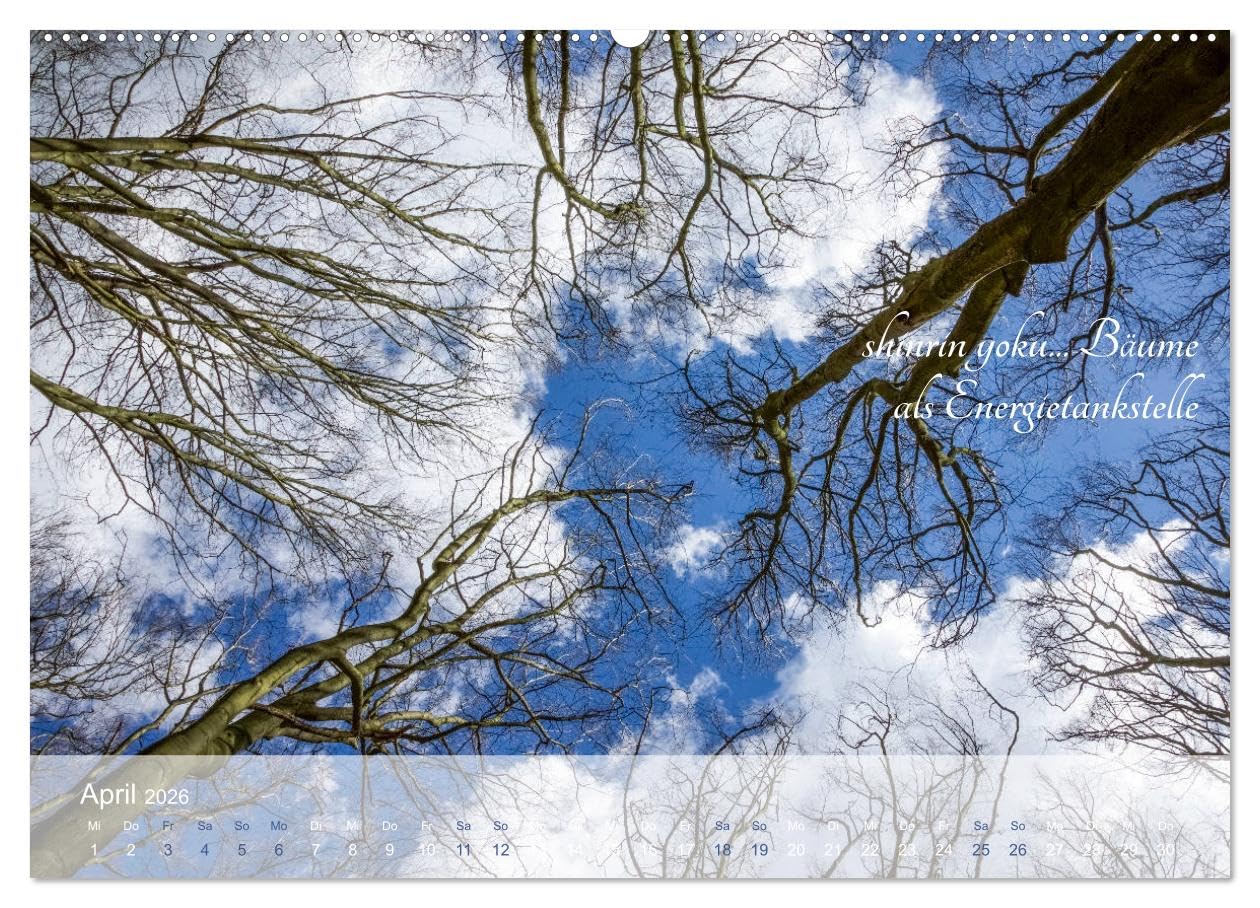 Shinrin yoku - Waldbaden 2026 (hochwertiger Premium Wandkalender 2026 DIN A2 quer), Kunstdruck in Hochglanz: Zwölf einladende Fotografien inspirieren ... abzutauchen (CALVENDO Gesundheit)
