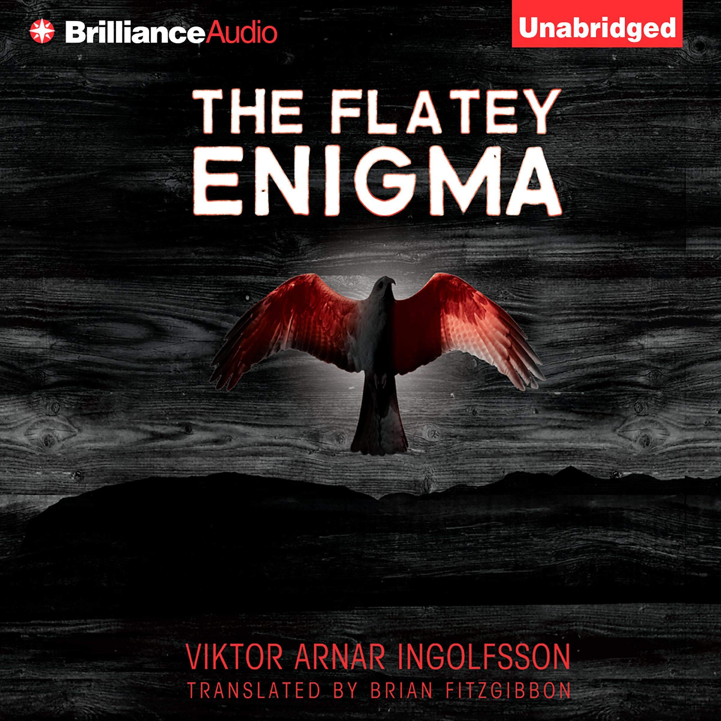 Cover art for The Flatey Enigma