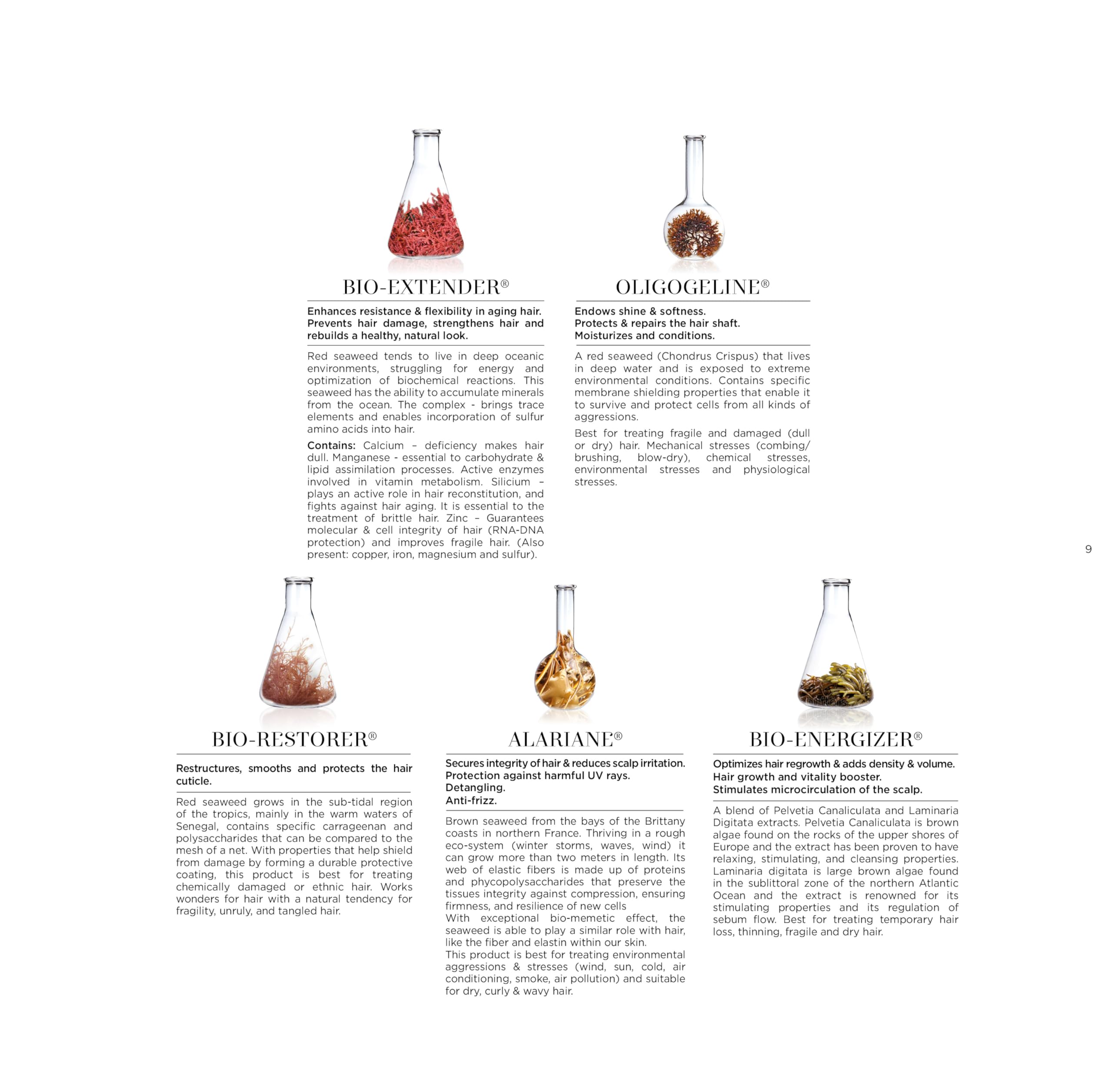Champú L'Alga Seawet 1000 ml