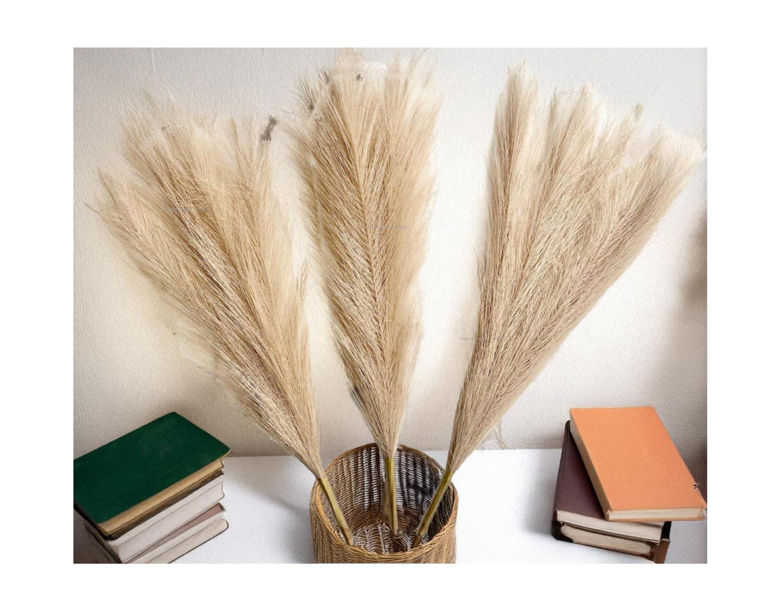 SPHINX Artificial Pampas Grass, 41cm Faux Pampas, Fluffy, Perfect for Diwali Decor, Housewarming Gifts, Wedding Arches, Home & Office Decoration- (3, Beige)