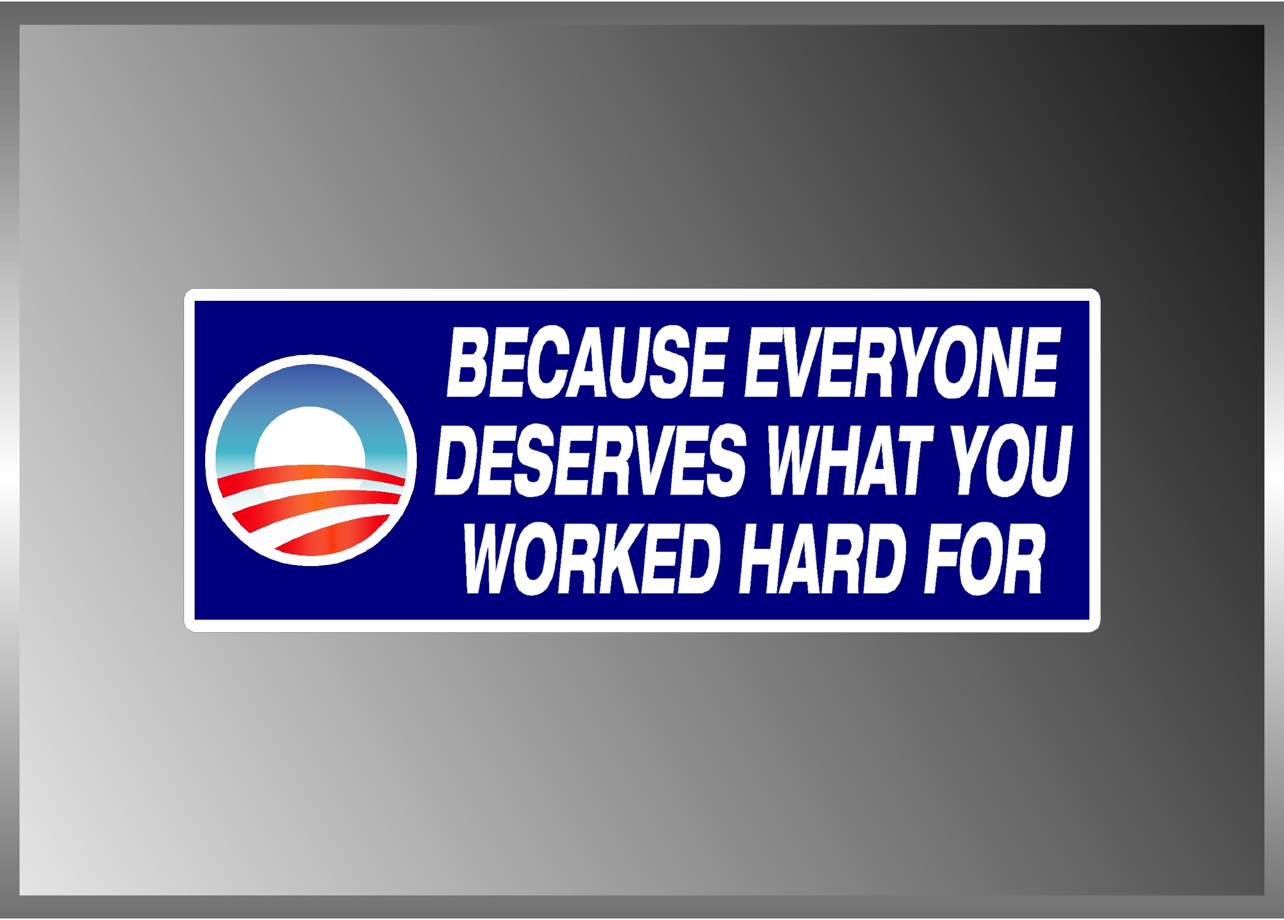 Anti Obama Socialism Message Everyone Deserves Vinyl Decal Bumper Sticker 3