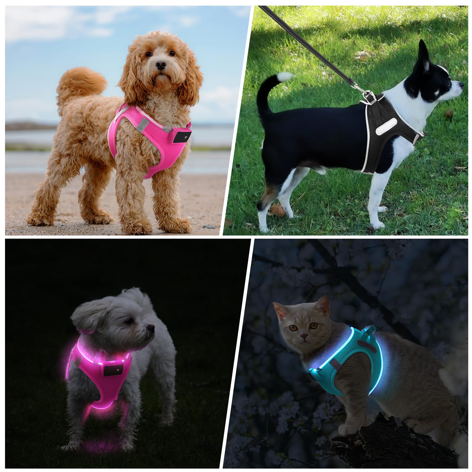 PcEoTllar Arnés Luminoso para Perros Pequeño, Cómoda ArnéS LED Perro Recargable 3 Modos Arnés Perro Luz Reflectante para Mascotas Pequeñas, Rosa-XS