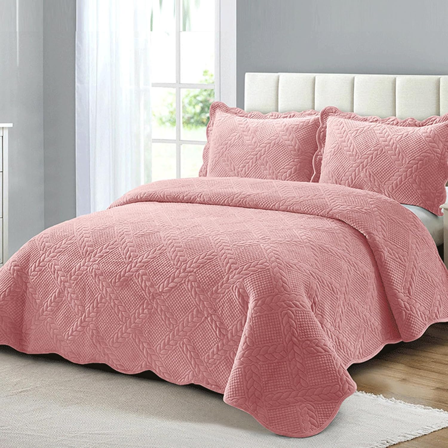 D065 貴重希少激レア大株！ユーフォルビアオベサ 綴化株