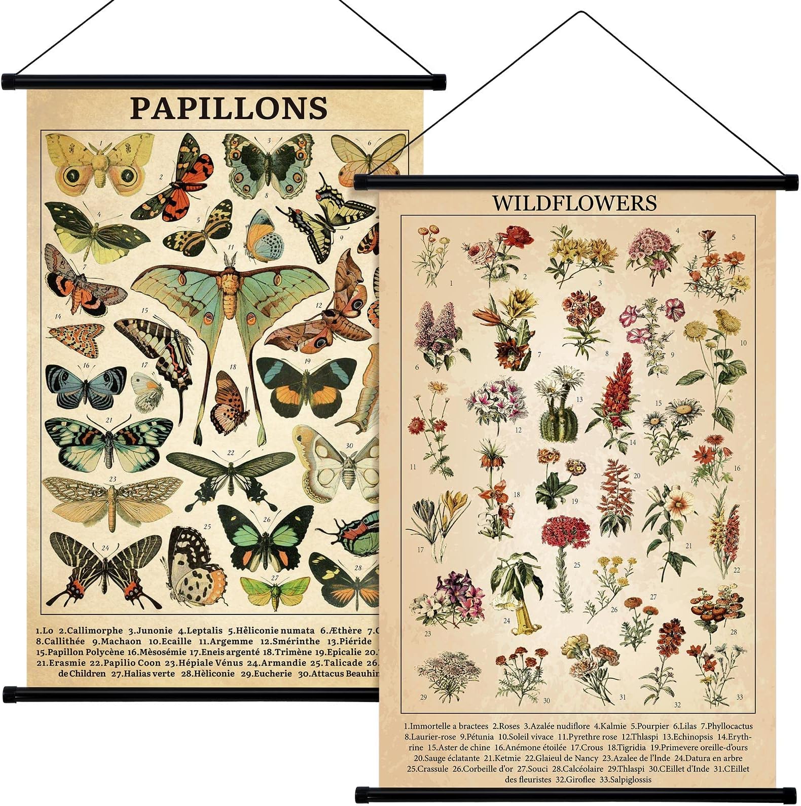 Geosar 2 Pcs Vintage Mushroom Flower Butterfly Tree Poster Fungus Rustic Wall Hanging Illustrative Reference Chart Poster for Bedroom Living Room, 15.7 x 23.6 Inch (Butterfly,Flower)
