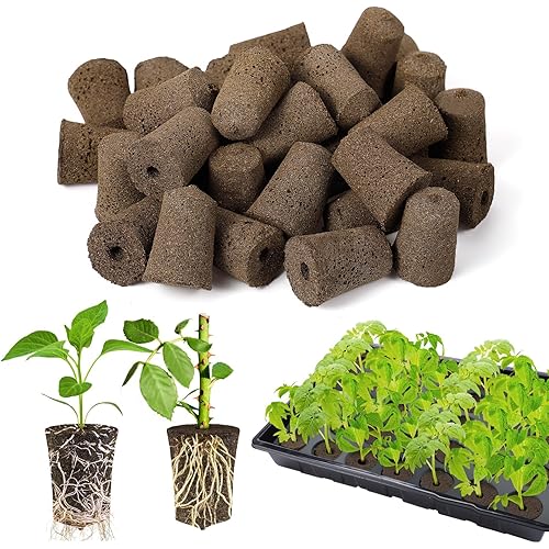 50 Pcs Rooting Sponges - Starter Plugs for Seedlings or Cuttings, Rapid for Soil, Tray or Planting Pods Plant Rooter, Promotes Herbs Vegetable Flowers Growth