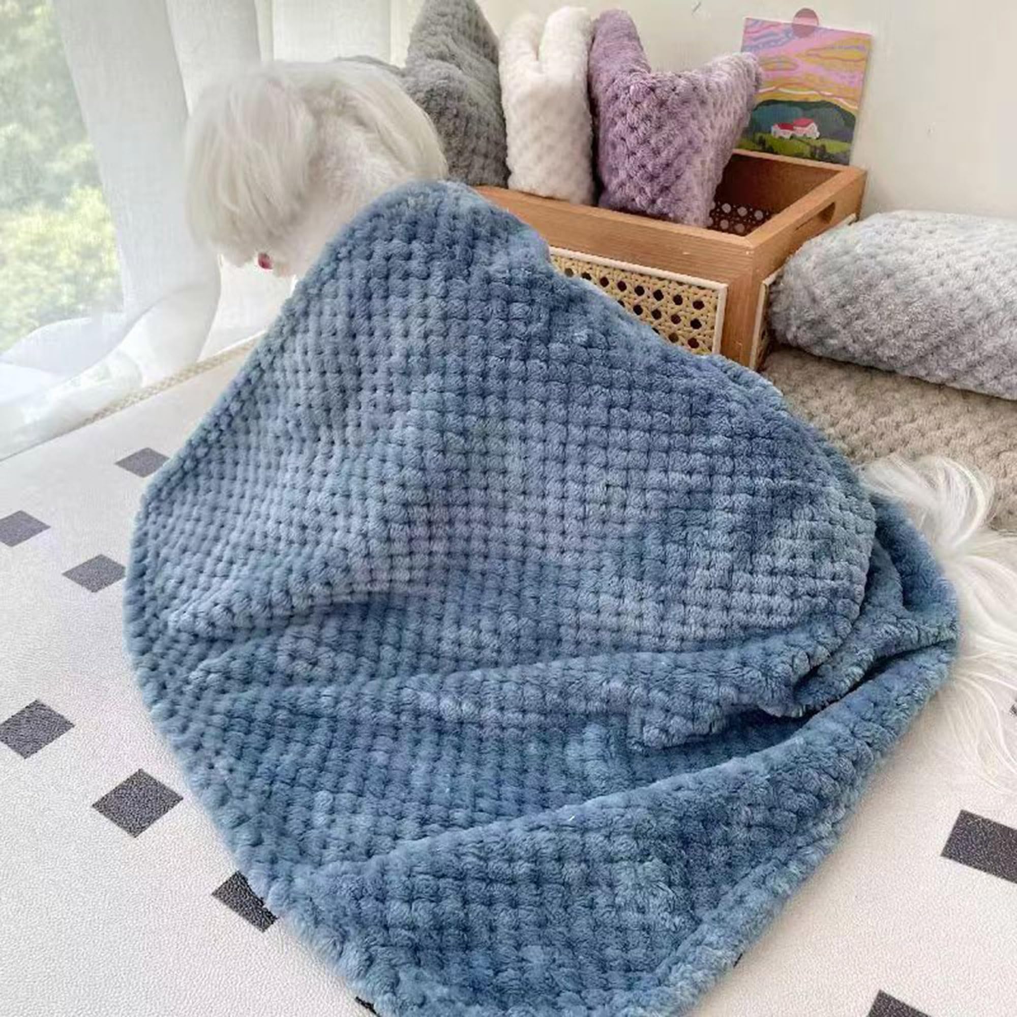 Lot de 2/4 couvertures douces pour chien et chat de petite et moyenne taille - Couvertures lavables pour canapé, lit, voiture - Couvertures pour animaux de compagnie (café, 4 pièces, 100 x 80