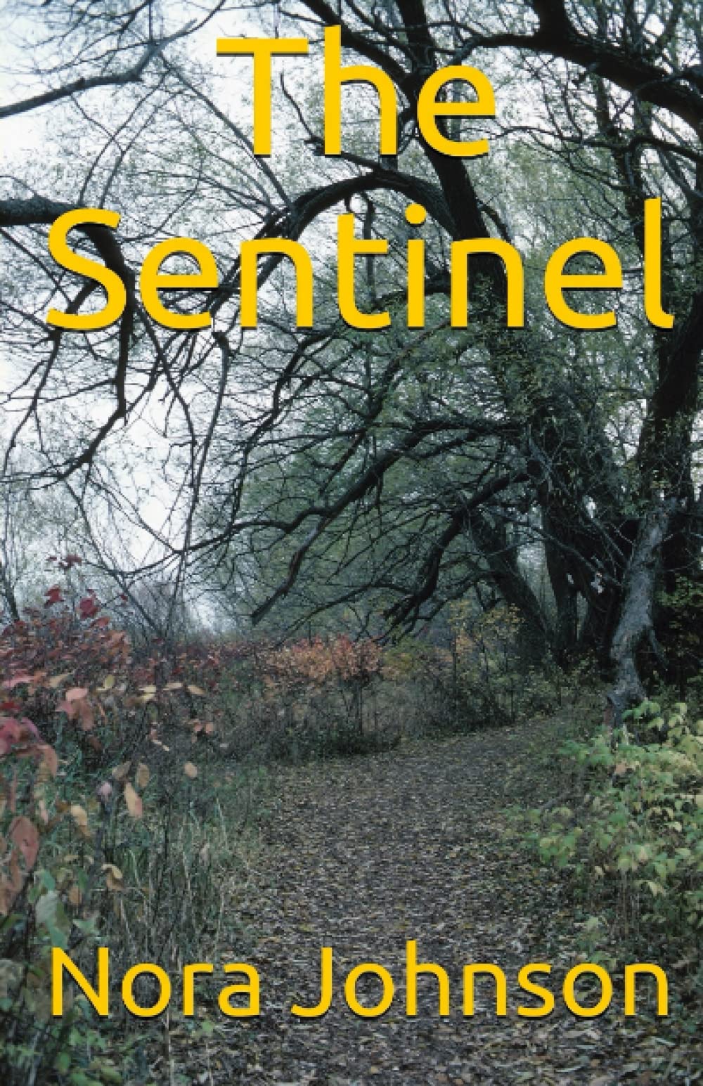 The Sentinel