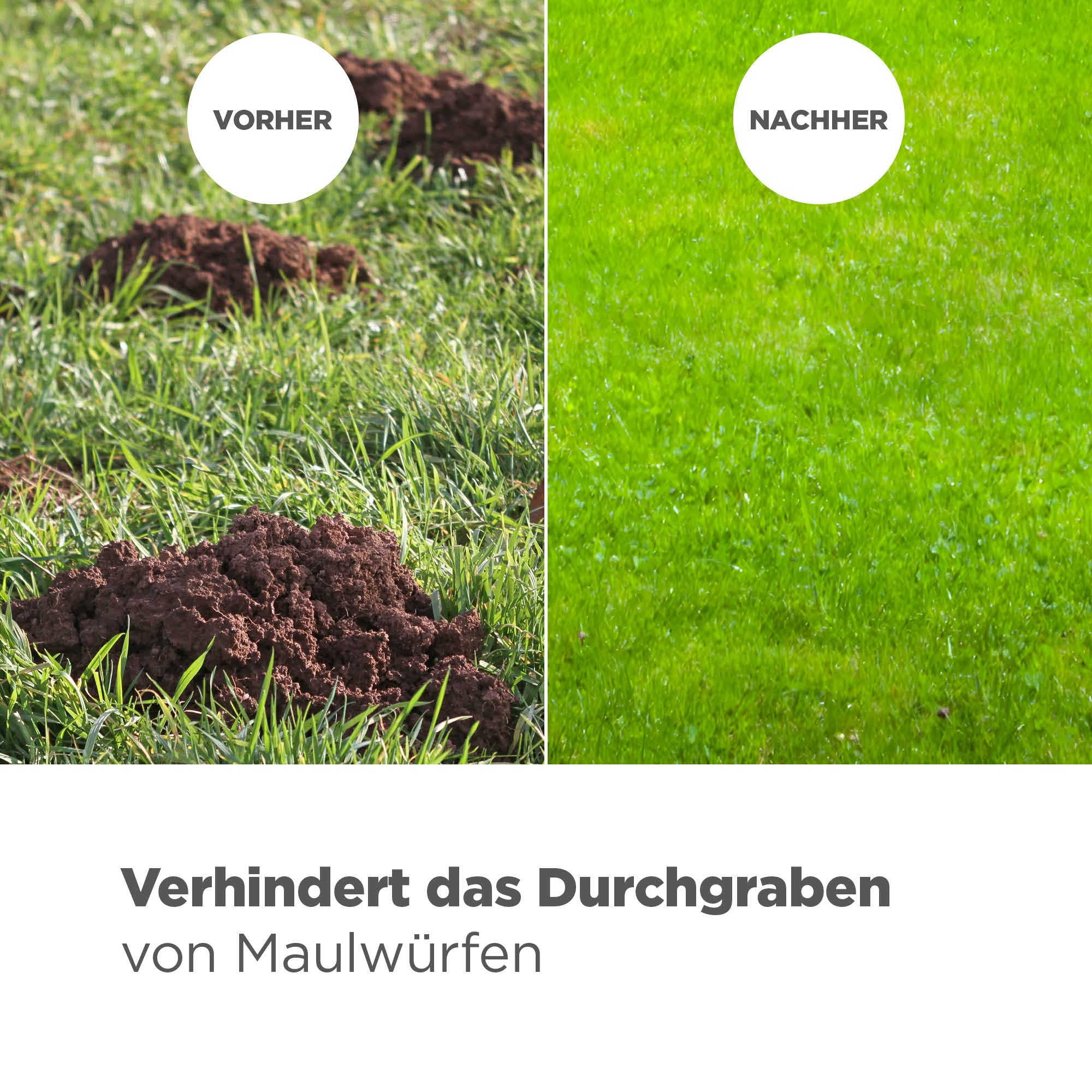 blizz-z Maulwurfsperre HDPE B: 1m x L: 50m (480g/m²) - grün - 1 Rolle | Maschenweite 13 x 13 mm - Maulwurfschutz Maulwurfgitter Kunststoffgitter - UV-stabil, verrottungsfest - Made in EU