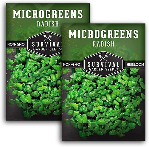 Survival Garden Seeds Microverduras de rábano para brotar y cultivar - 2 paquetes - Brotan microvegetales de hoja verde en interiores - Cultiva un disponible en Yaxa Venezuela