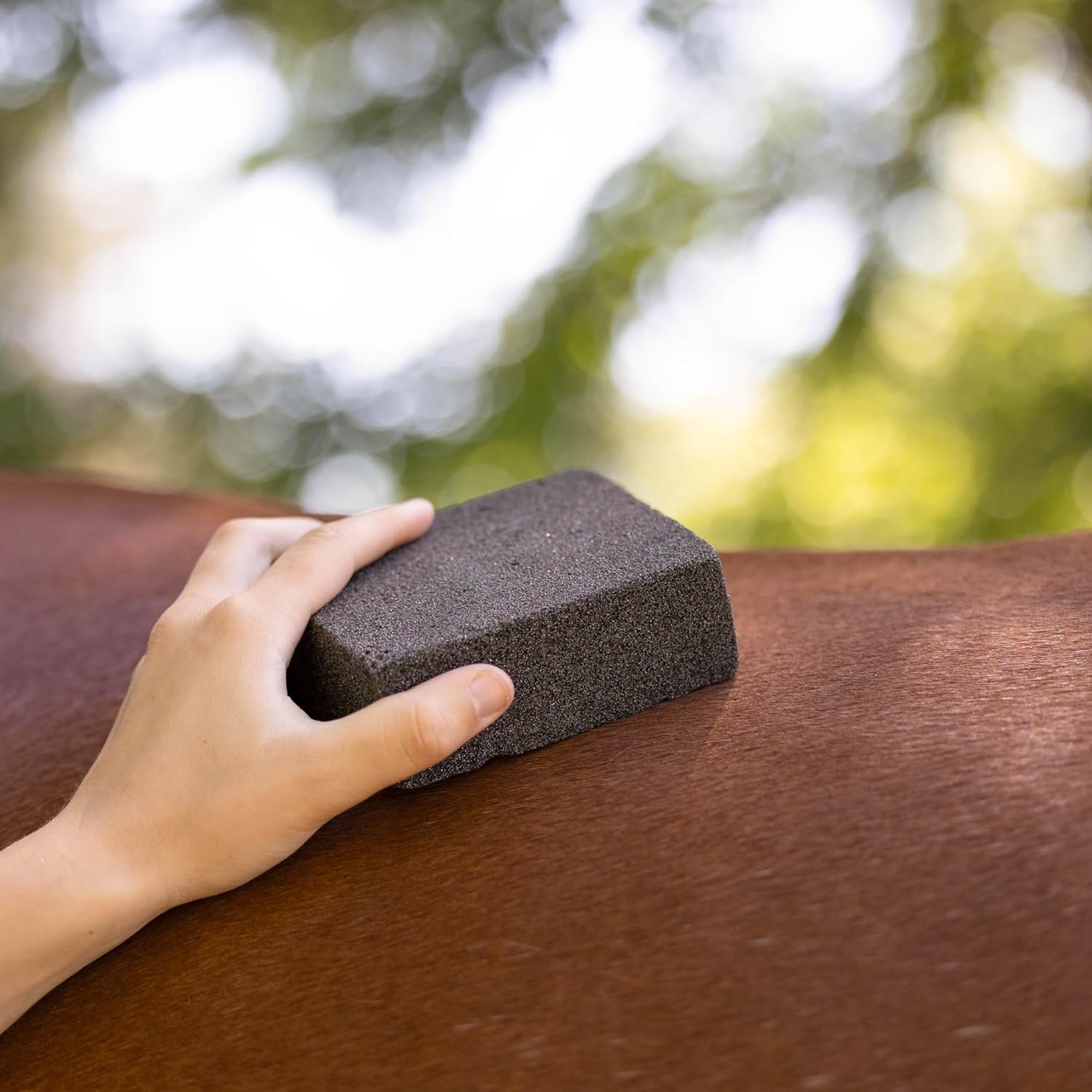 Horze Brush Stone - Black - One Size