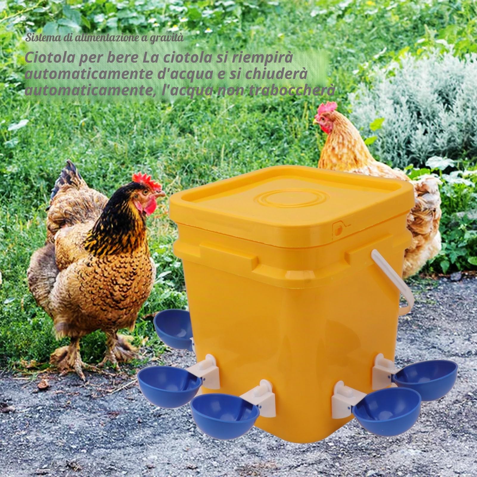 Abbeveratoio Automatico per Pollame, Distributore di Acqua per Polli con Tazza, Sistema di Alimentazione a Gravità 12L, Plastica Durevole, per Galline Pulcini Anatre Oche Quaglie Piccioni