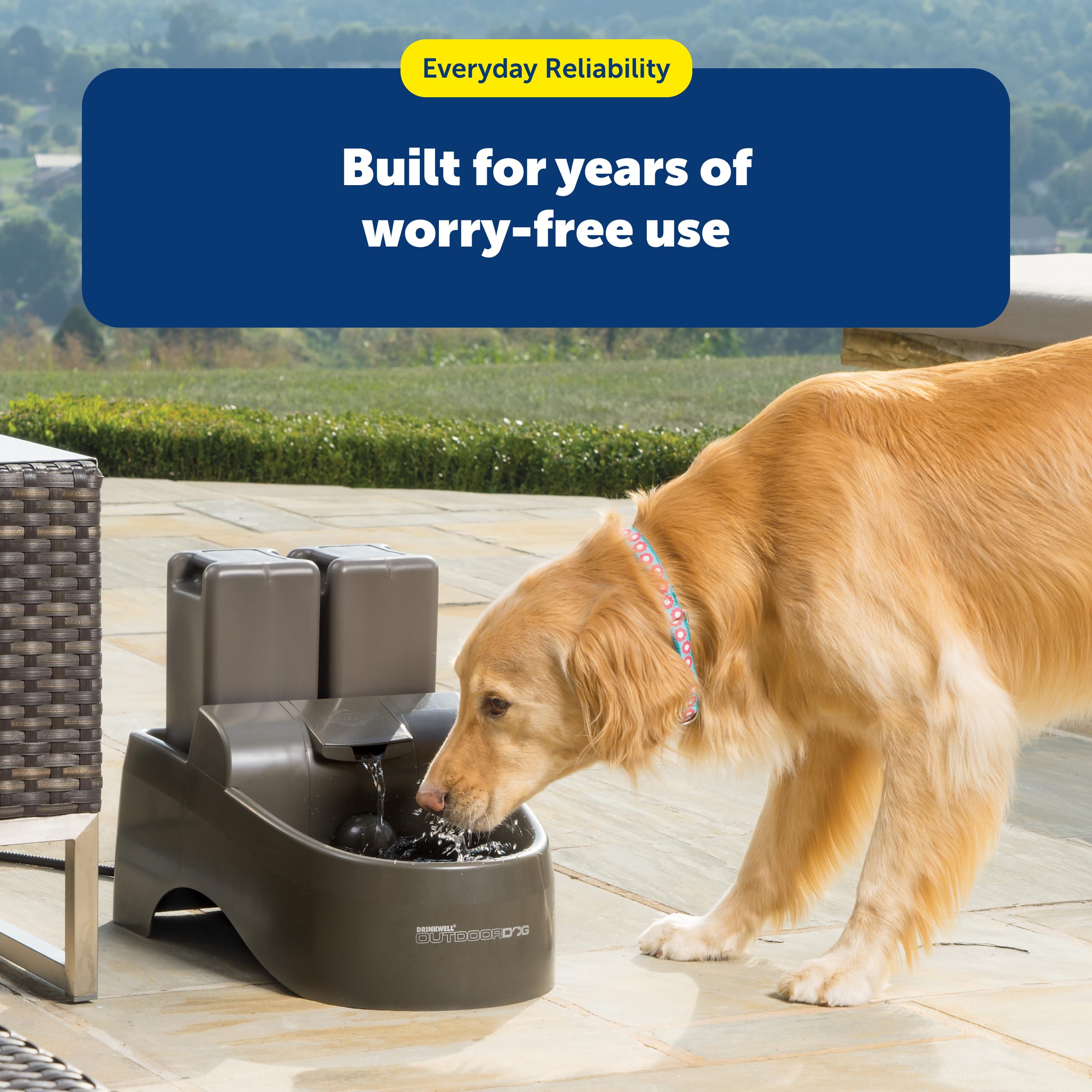 PetSafe Drinkwell Fuente de agua para perros al aire libre, fuente potable para mascotas, dispensador de agua de capacidad de 43 onzas, gris