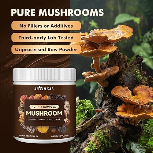 Miniatura 6 de Polvo de hongos 10 en 1, complejo de hongos, melena de león, reishi, shiitake, chaga, cola de pavo, cordyceps, maitake y más, suplemento de hongos
