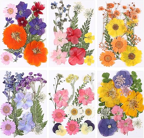 eBoot Juego de 72 flores prensadas secas a granel para moldes de resina, juego de hojas de flores secas prensadas para manualidades, regalo de