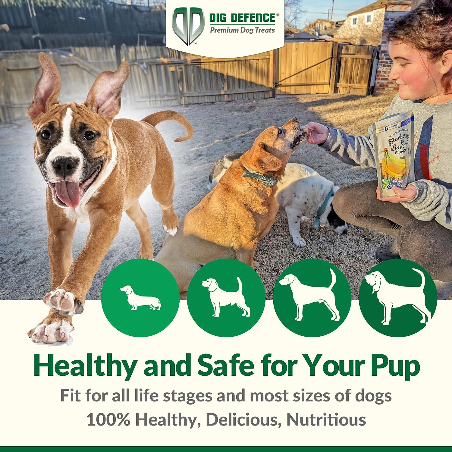 Dig Defence Premium Dog Treats, Variety Pack Gourmet Snacks 6 Pack, All Natural Training Treats for All Dog Sizes, Perfect for Pet Lovers
