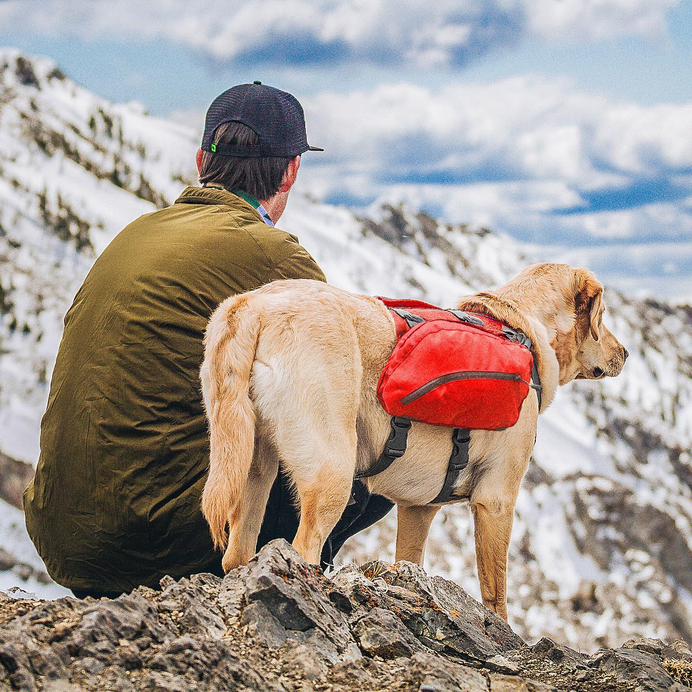 Kurgo Baxter Hunderucksack mit Geschirr - Abenteuer Rucksack - Ergonomische Rückenstütze - Ausbalanciertes Design - Langlebiger Wanderrucksack, Hundezubehör - Großer Baxter (23-45 kg) - Chili/Barnrot