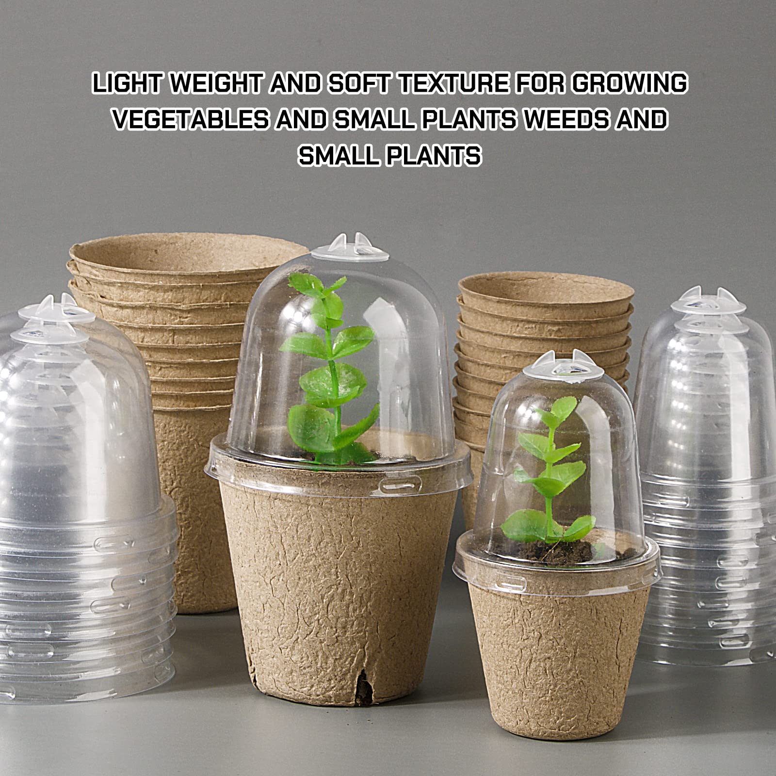 20pcs Semilleros Germinación Biodegradables Macetas Semillas para Germinación con Tapa Transparente Maceteros Biodegradables Pequeñas con Agujeros para Plantar Invernadero Huerto Jardín