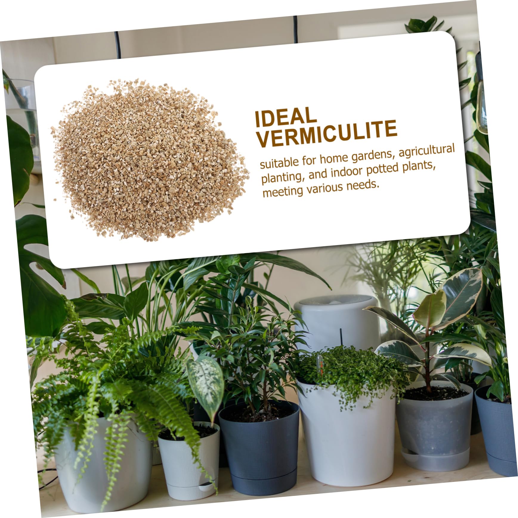 Hemobllo Vermiculite Horticole Fine 3l pour Culture de Champignons et Plantes en Serrage Jardin Aération Optimale Ph Neutre Substrat de Croissance Polyvalent