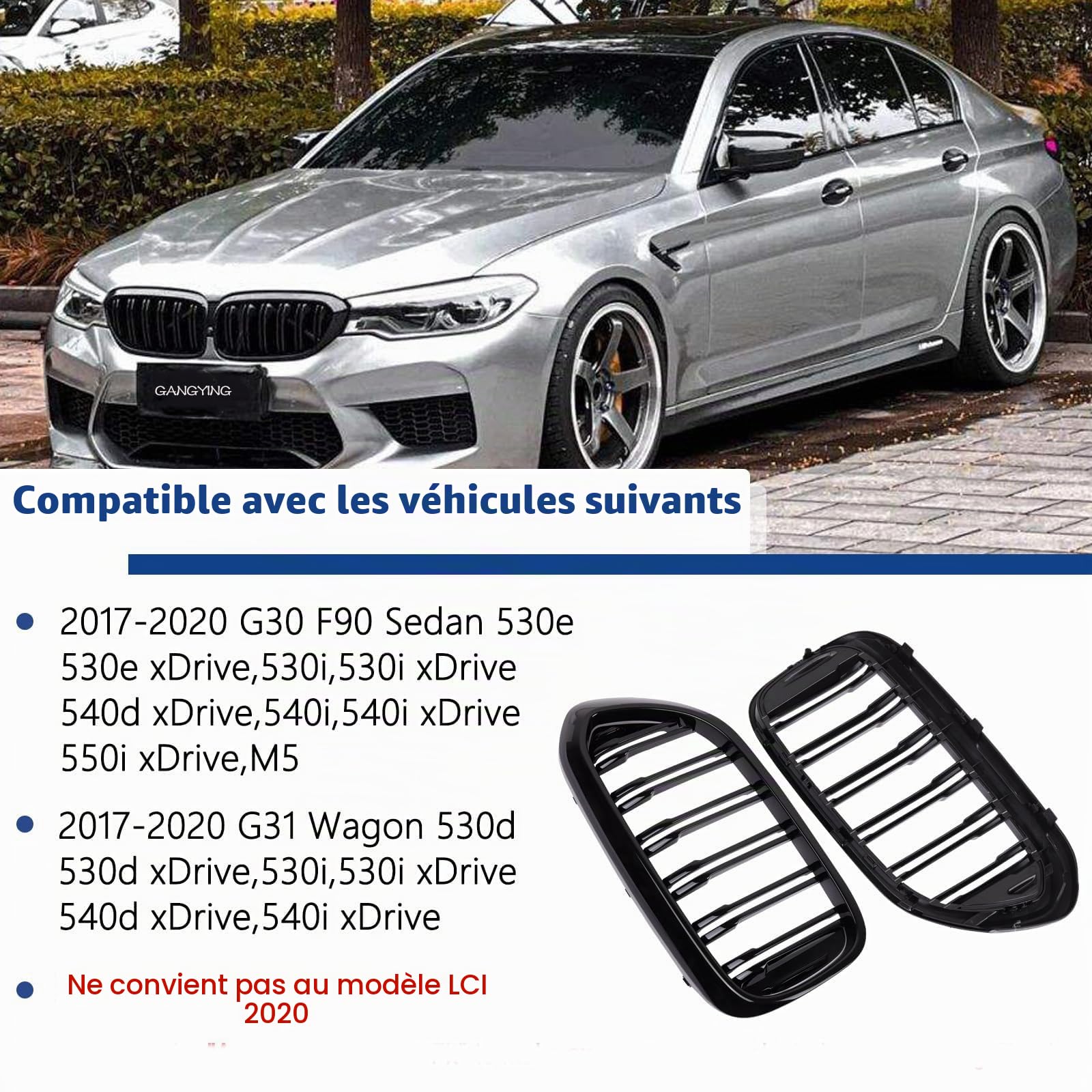 Kühlergrill Nieren Passend pour BMW 5er G30 G31 Pre-LCI 2017-2020