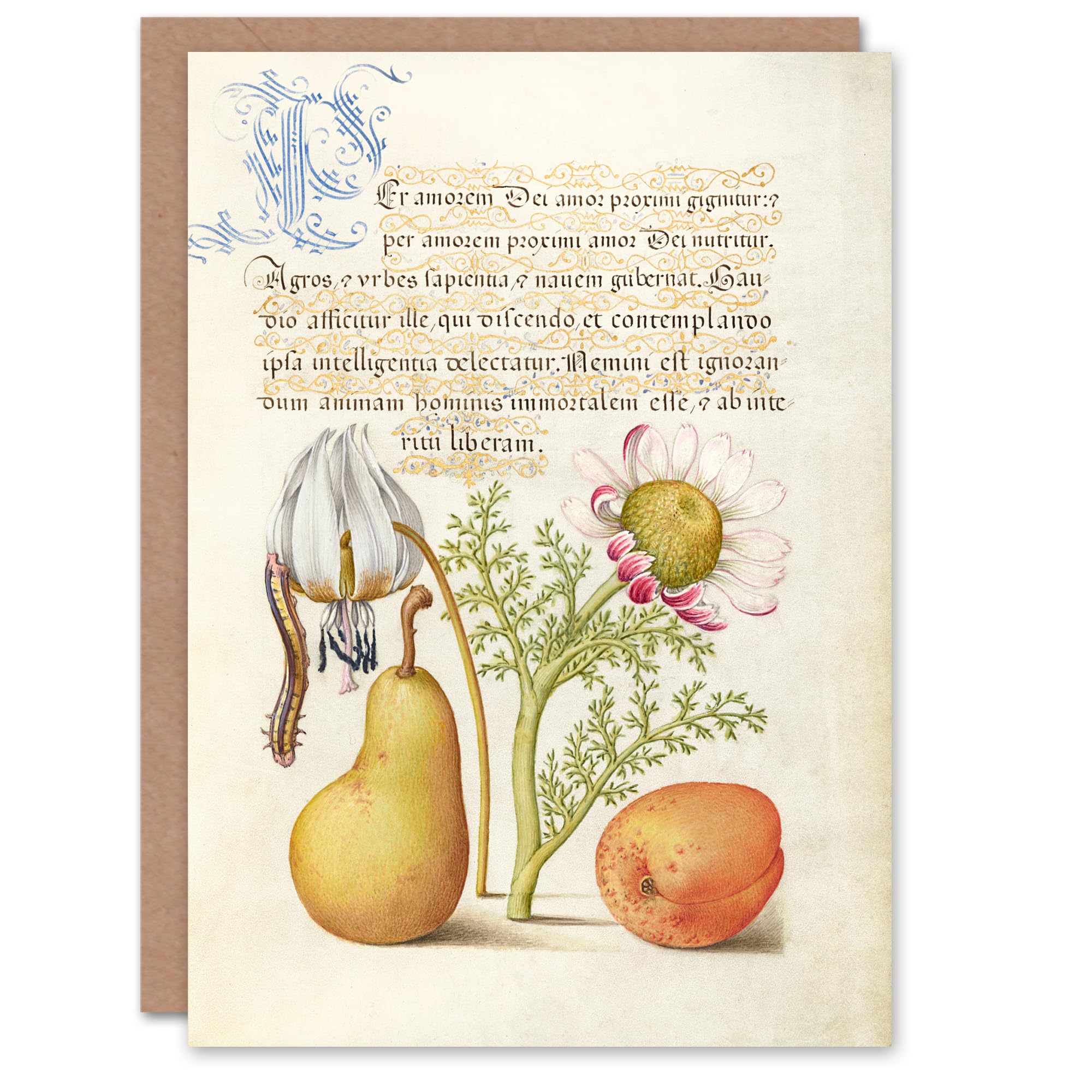 Artery8 Model Book of Calligraphy Art Card Caterpillar Flowers and Fruit