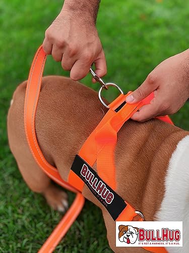Vista 62 de BULLHUG Correa de bulldog de 6 pies con mango acolchado. Perfecto para bulldogs, bulldogs franceses, pugs y todas las razas. Correas para caminar