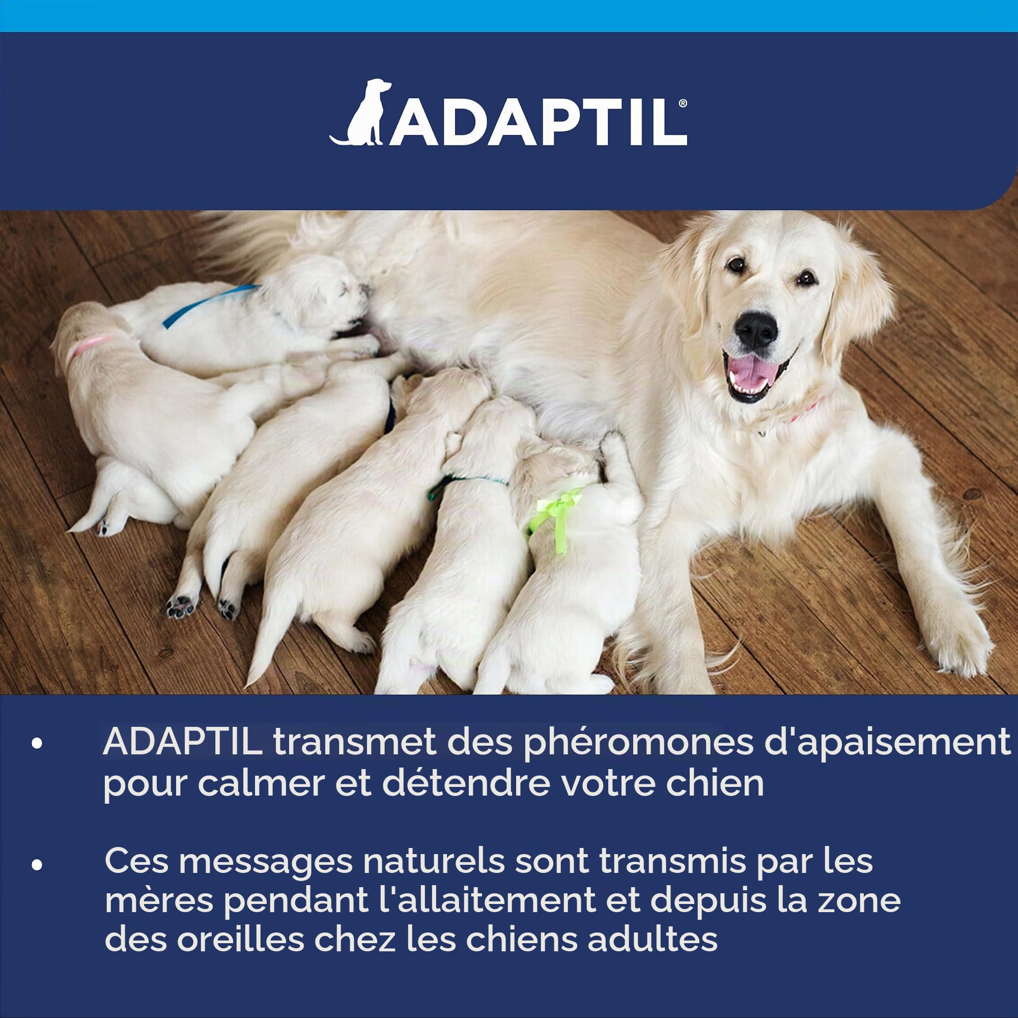 Adaptil calme - Anti-stress pour les chiens - peurs, apprentissage, Bruits importants, Adoption - Collier S pour petits chiens