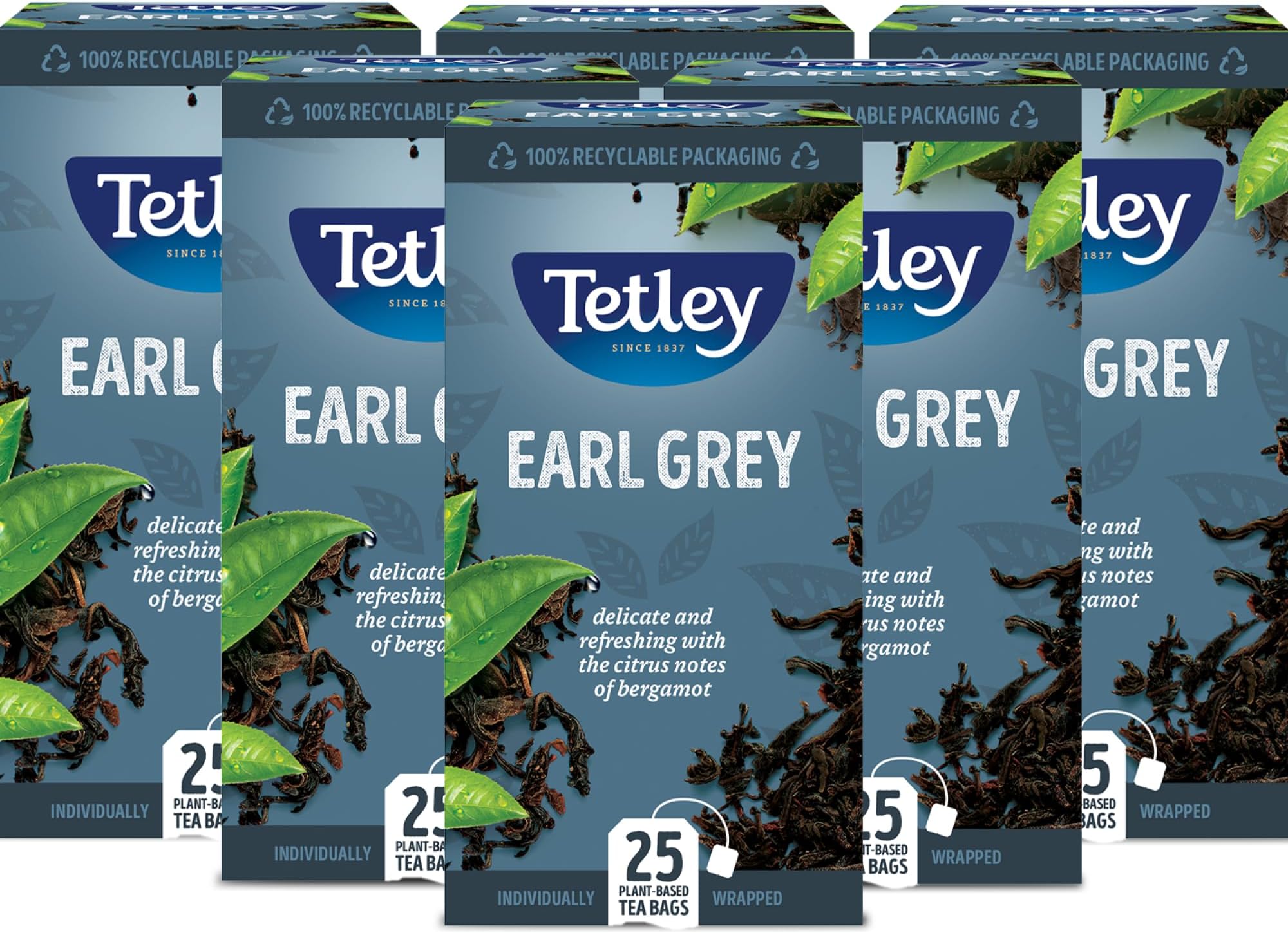 Earl Grey String & Tag Enveloped Tea Bags - Delicate Bergamot & Citrus Infusion - Premium Black Tea - Rainforest Alliance Certified - 150 Individually Wrapped Tea Bags (6x25 Pack)