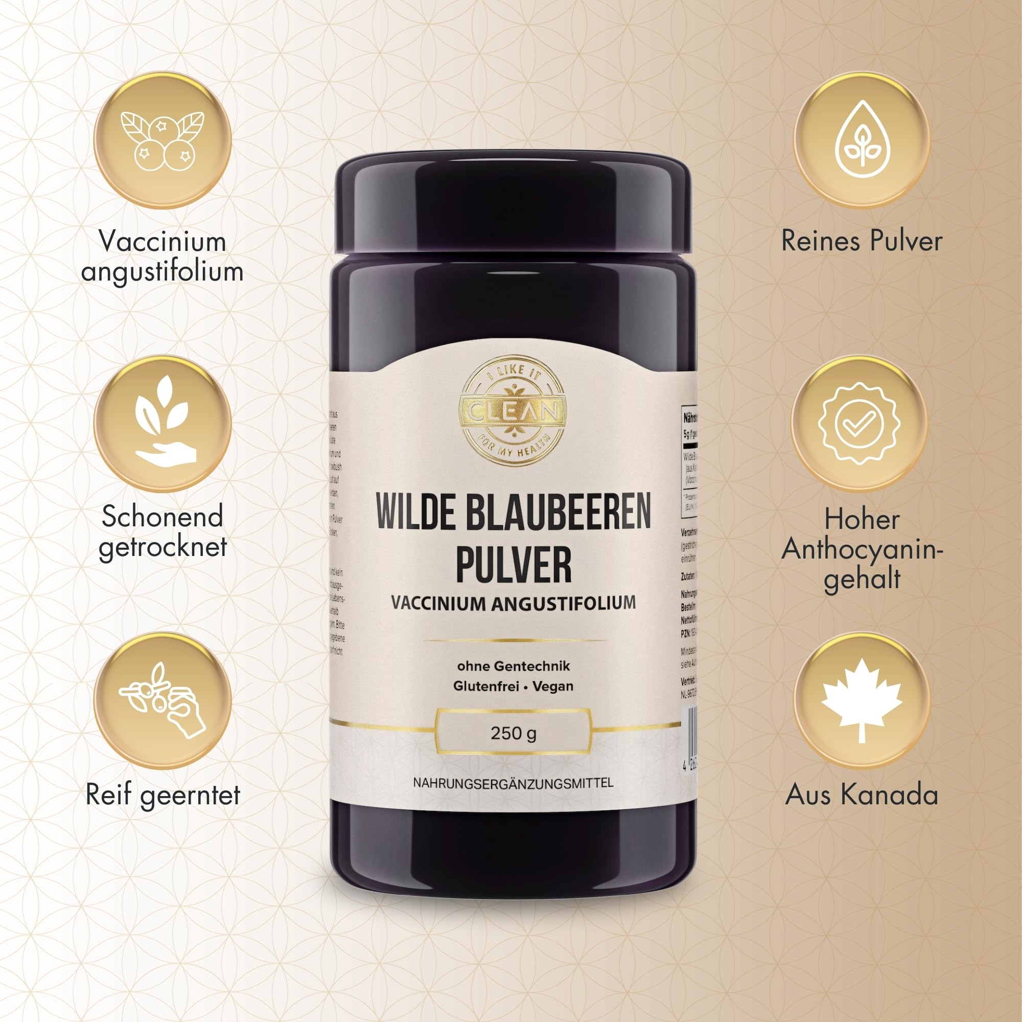 I-like-it-Clean® - Wilde Blaubeeren Pulver (Vaccinium angustifolium) - 250gr - aus unbeührten Wäldern der Ostküste Kanadas - vegan, ohne Hilfststoffe - in Deutschland abgefüllt