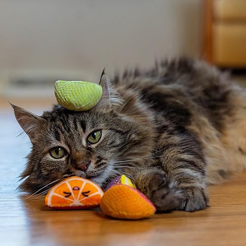 Miniatura 6 de Catstages Cuñas dentales de frutas, 4 unidades, suaves y texturizados, juguetes masticables de hierba gatera que ayudan a limpiar los dientes,