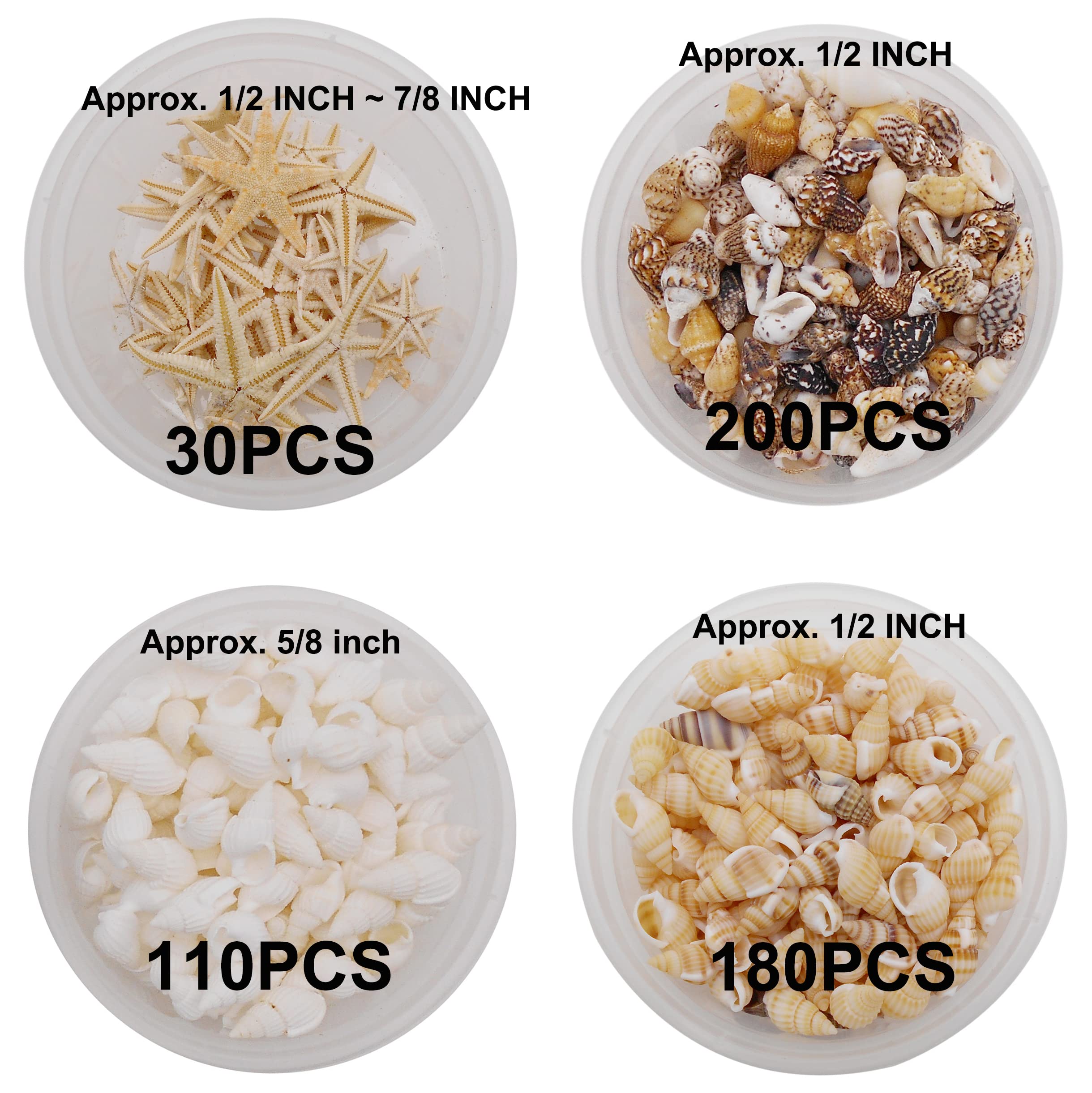 yaokan 510pcs Mixed Tiny Sea Shell Starfish Ocean Beach Spiral Seashells for Resin Craft Candle Making Wishing Bottle Wedding Home Decoration Fish Tank