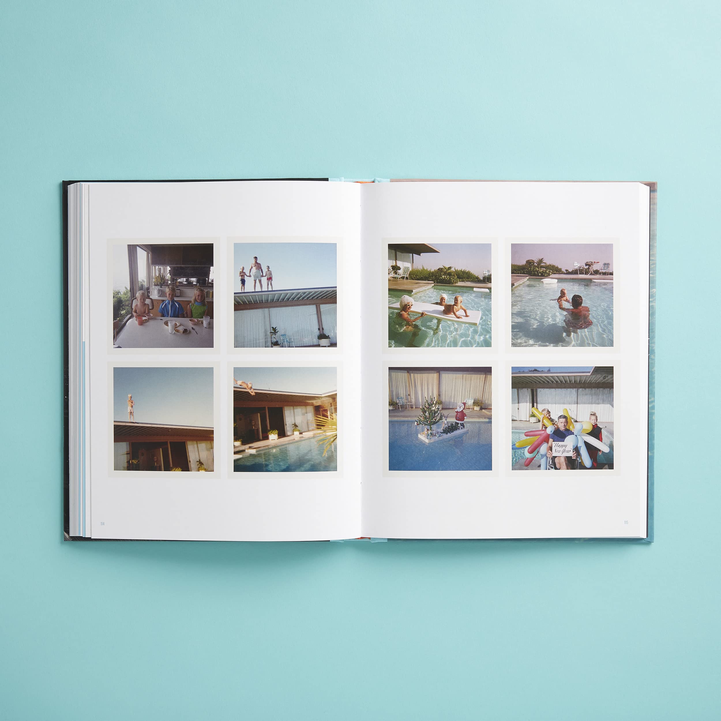 The Stahl House: Case Study House ú22: The Making of a Modernist Icon