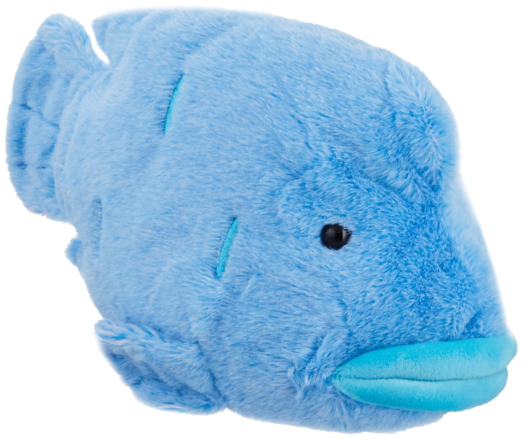 Amazon | 海中散歩ぽちゃまるシリ－ズ Mサイズ ナポレオンフィッシュ
