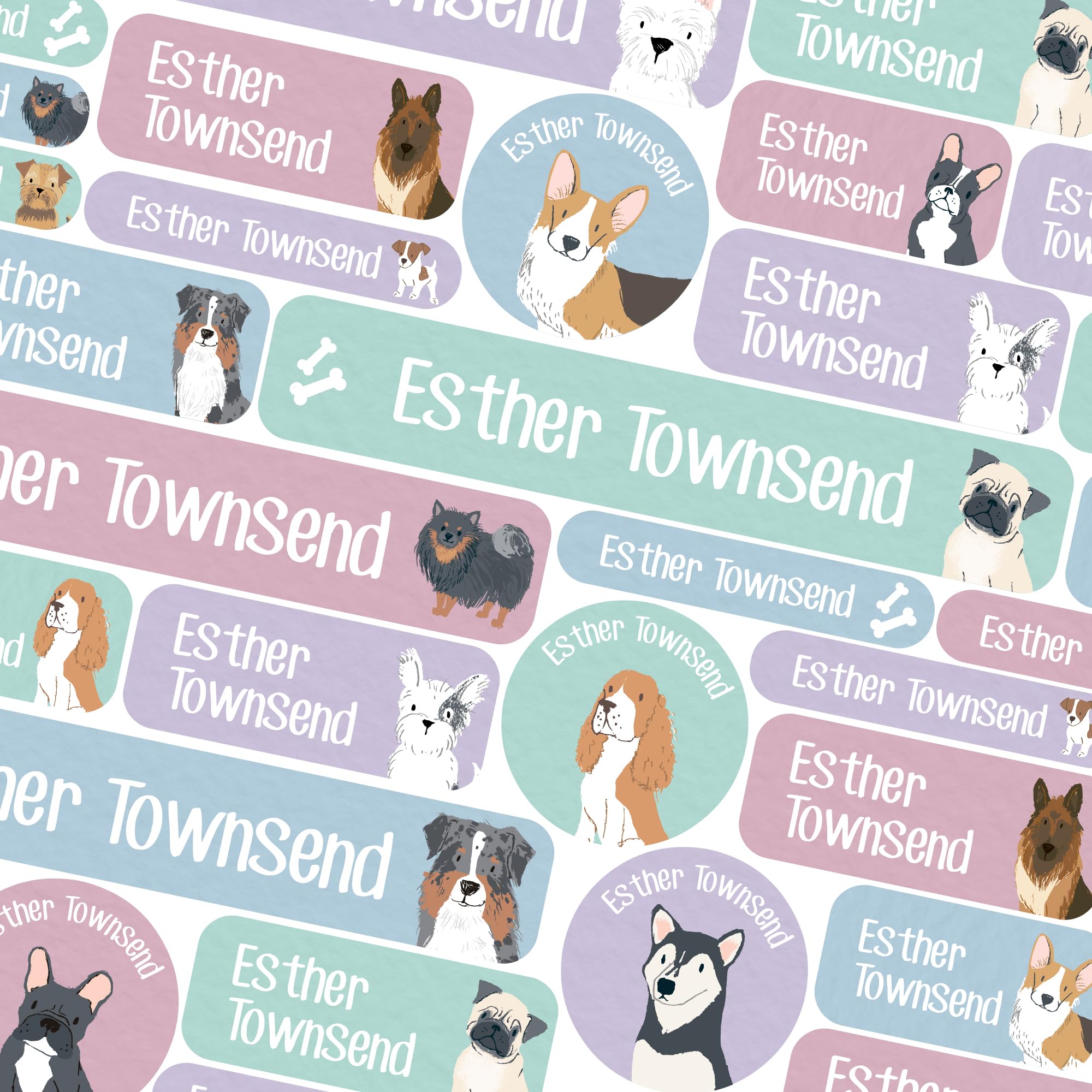 123 School Name Labels for Children No Iron Name Tags for Clothes Name Stickers for Water Bottles, Uniform, Secondary School, College, Care Homes, Washable and Dishwasher Safe (Dogs)