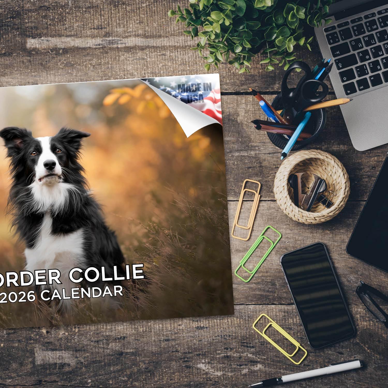 Kalendarz Border Collie 2024 2025 - miesięczny kalendarz ścienny rasy psów, 30 x 45 cm, otwarty, gruby papier bez przebarwień, prezent - akademicki planer nauczyciela organizacja i planowanie