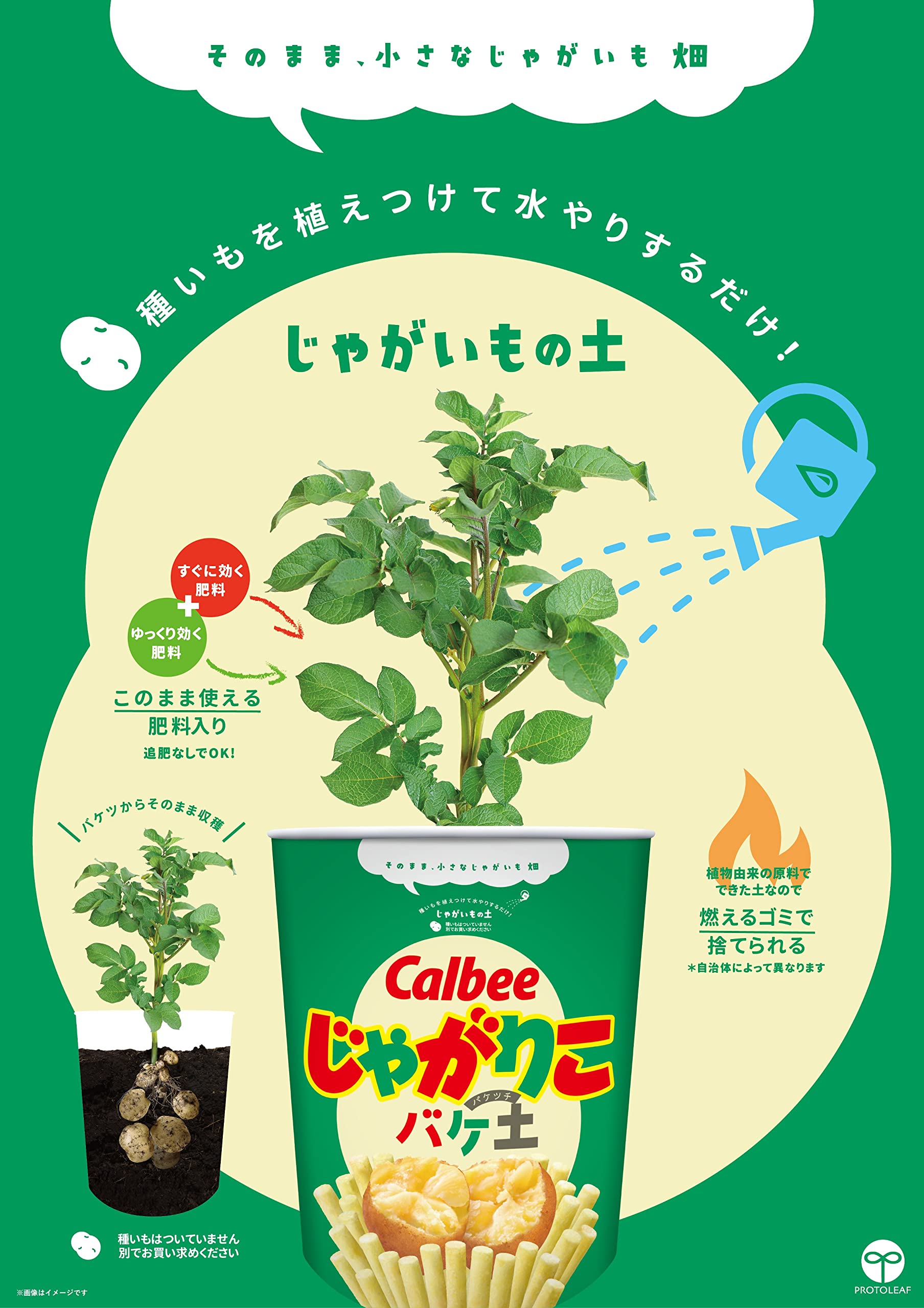 逃げるじゃがりこ 10222-n.jpg