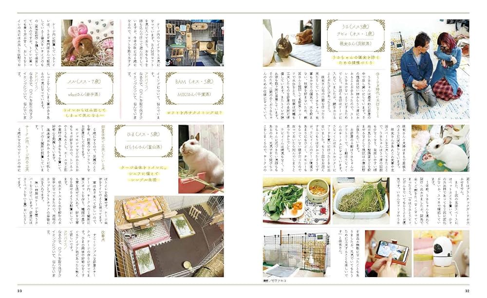 うさページ Amazon.co.jp: 季刊うさぎと暮らす No.84 (2022年Summer