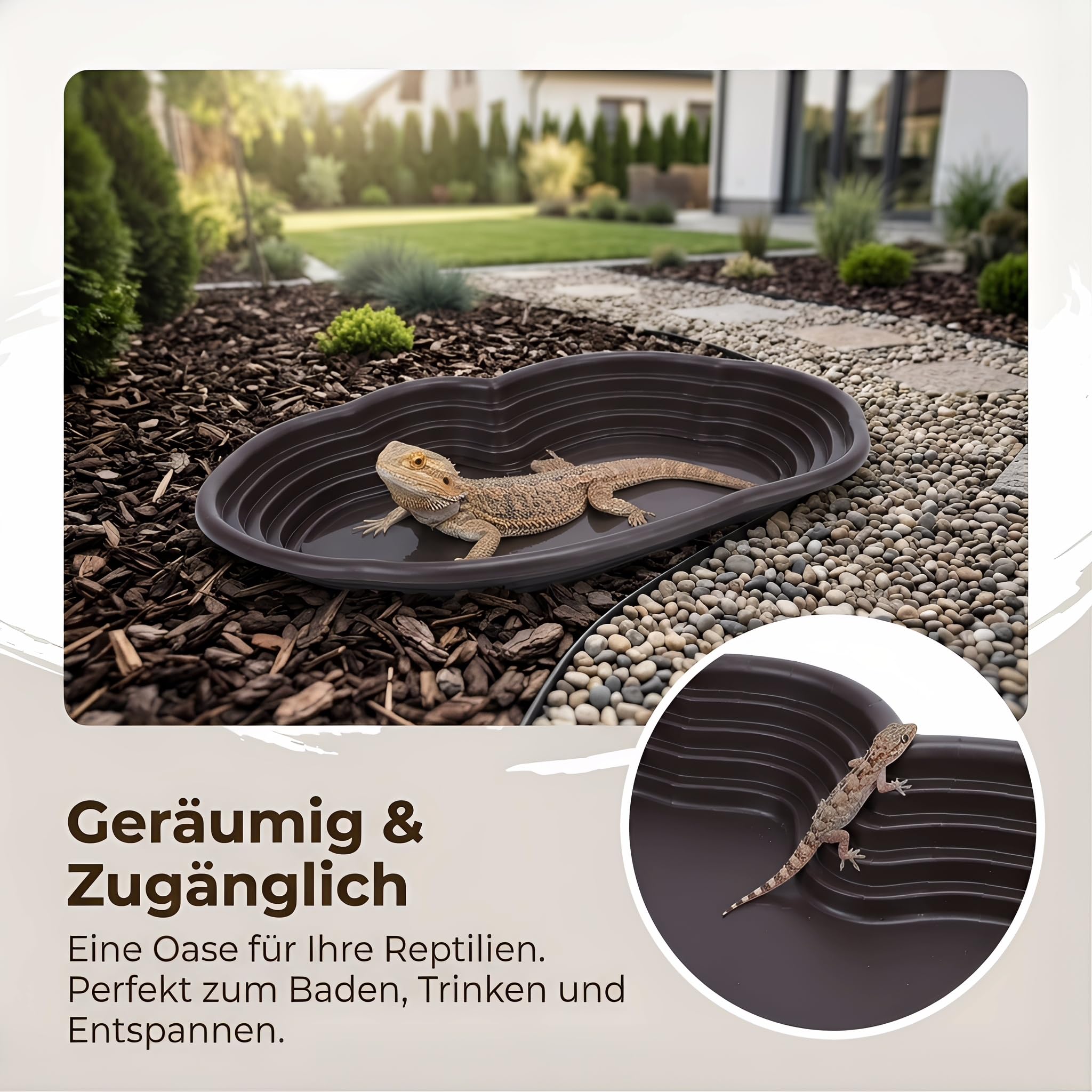 Colcolo Wassernapf für Schildkröten, Futternapf für Reptilien, Wassernapf für Reptilien, Badebecken für Schildkröten, Geckos, Frösche, Ruheplatz, Keine Entwässerung