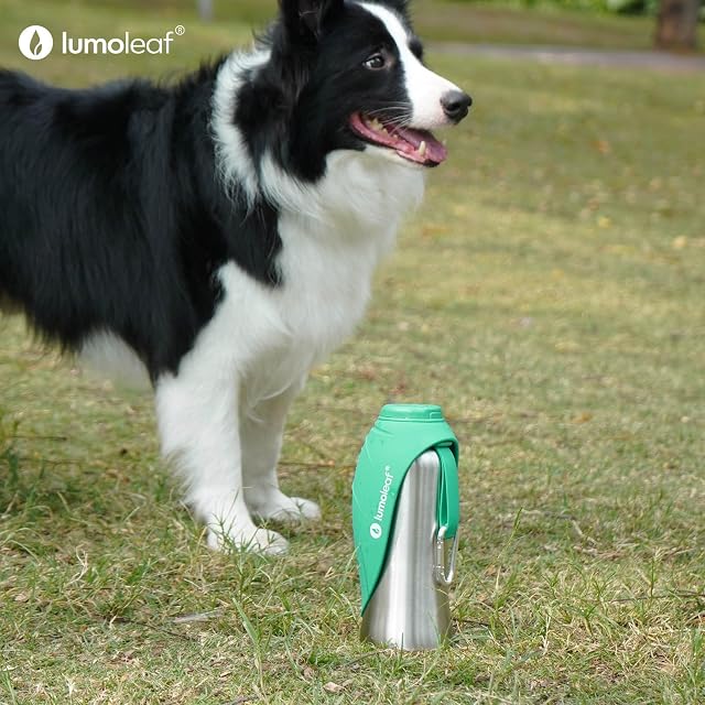 Foto 8 de 8 de LumoLeaf Botellas de agua portátiles para perros de 800 ml