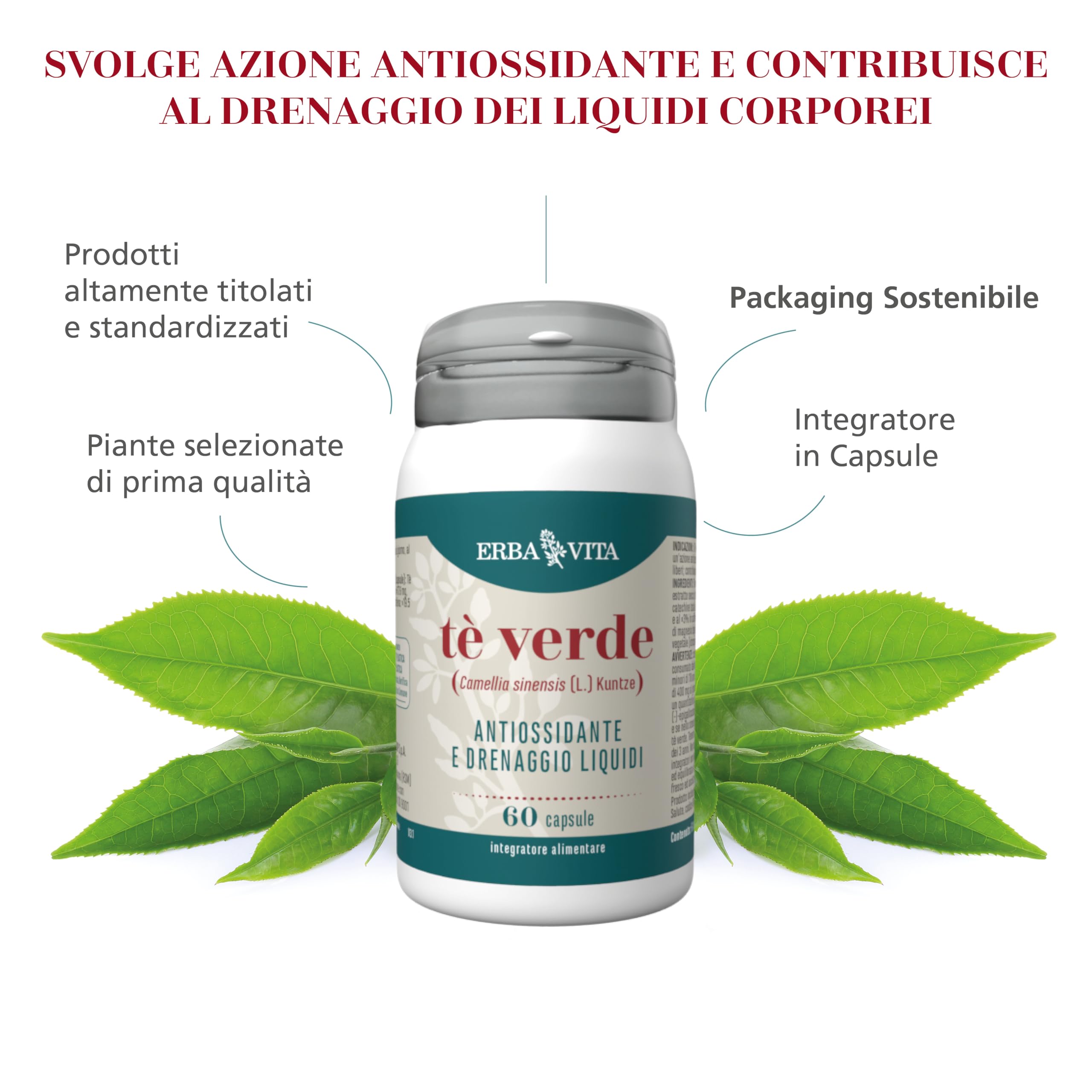 ERBA VITA Integratore Alimentare di Tè Verde - 60 Capsule - Svolge azione antiossidate e contrasta i radixali liberi
