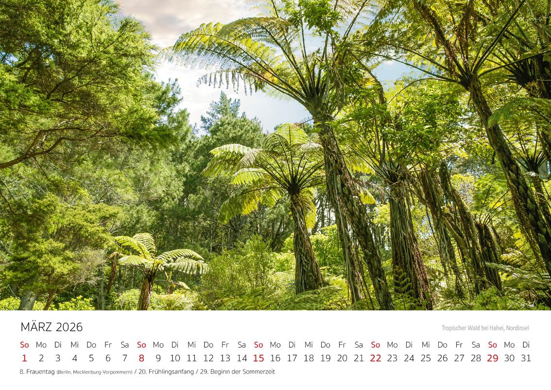 Edition Seidel Premium Kalender Naturschätze Neuseelands 2026 Format DIN A4 Wandkalender Wellington Pazifik Insel Nationalparks Christian Müringer