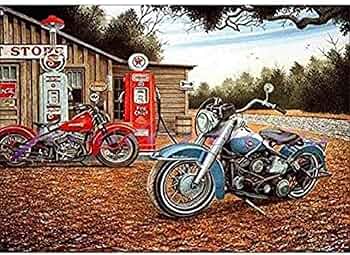 81RF4-YKtVL._AC_UF350,